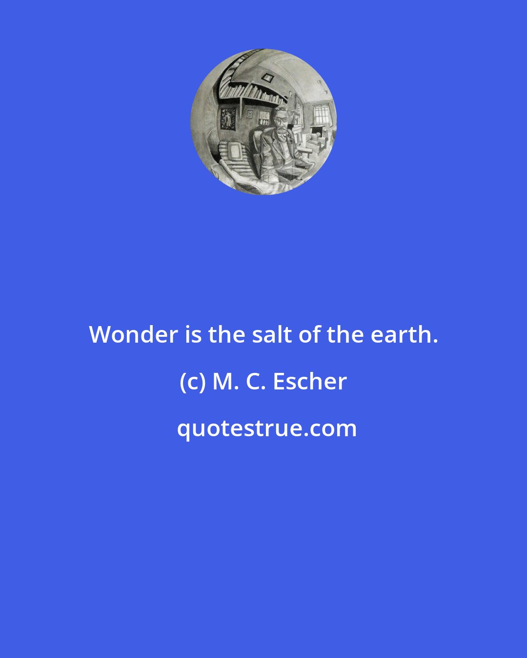 M. C. Escher: Wonder is the salt of the earth.