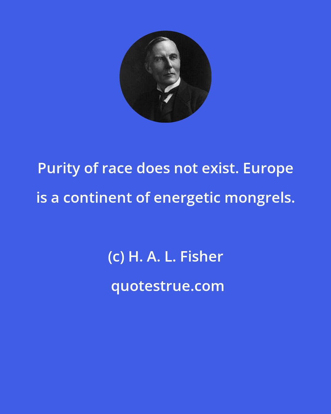H. A. L. Fisher: Purity of race does not exist. Europe is a continent of energetic mongrels.