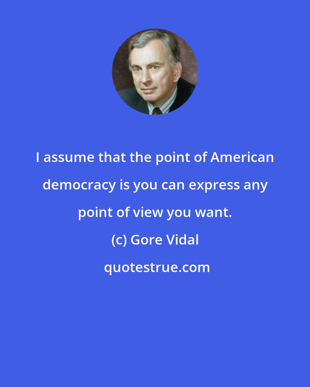 Gore Vidal: I assume that the point of American democracy is you can express any point of view you want.