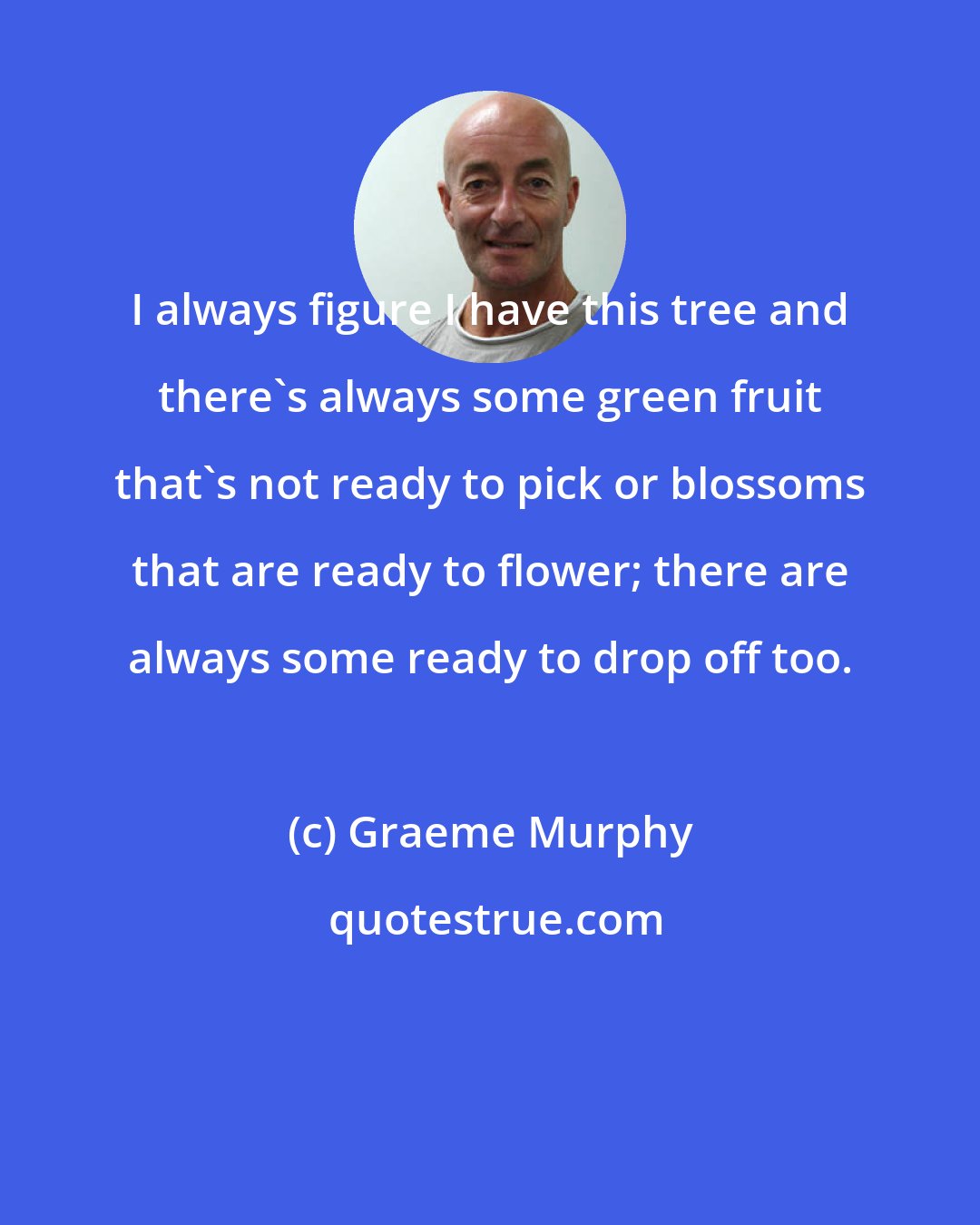 Graeme Murphy: I always figure I have this tree and there's always some green fruit that's not ready to pick or blossoms that are ready to flower; there are always some ready to drop off too.