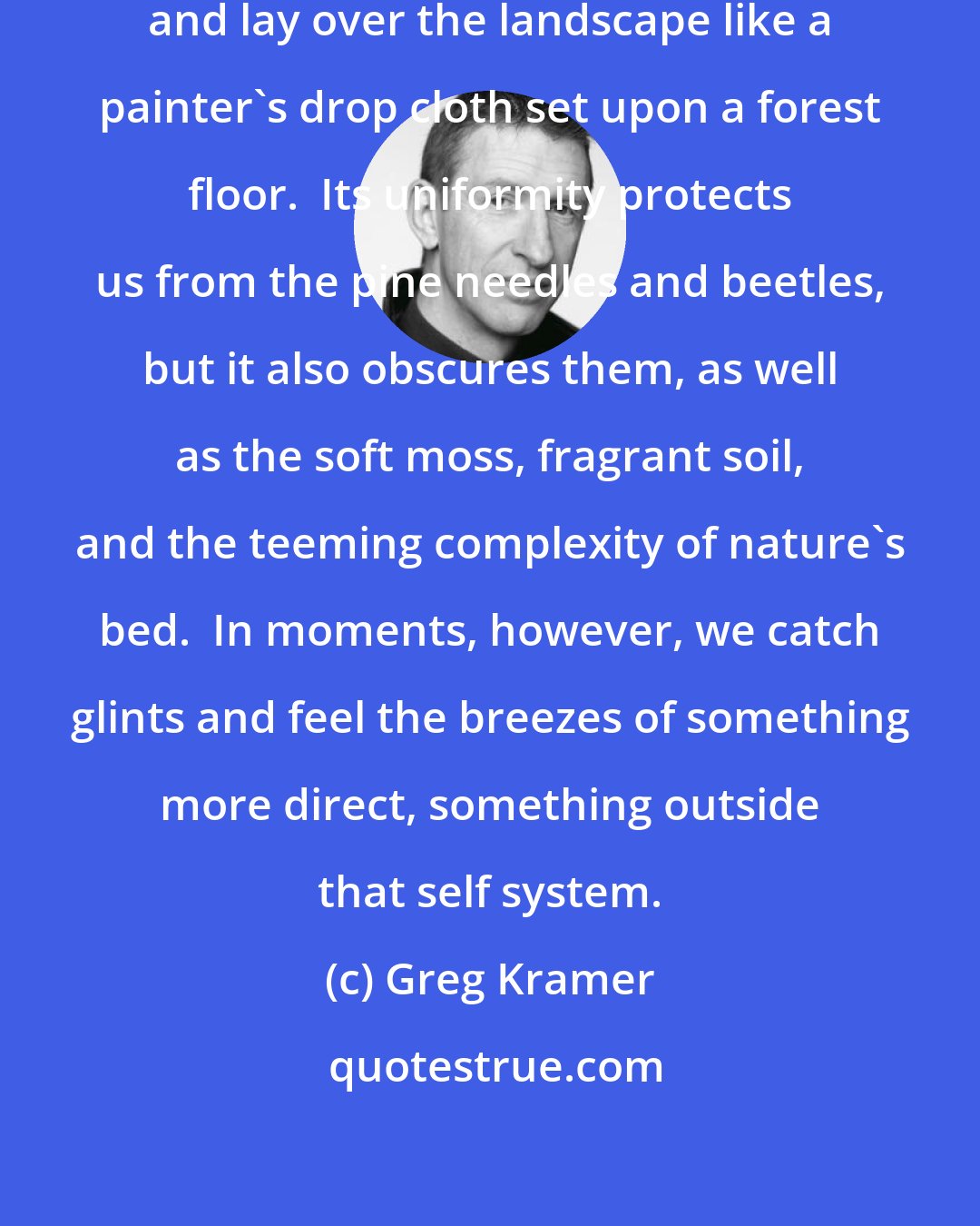 Greg Kramer: Knowing is a veneer out minds create and lay over the landscape like a painter's drop cloth set upon a forest floor.  Its uniformity protects us from the pine needles and beetles, but it also obscures them, as well as the soft moss, fragrant soil, and the teeming complexity of nature's bed.  In moments, however, we catch glints and feel the breezes of something more direct, something outside that self system.