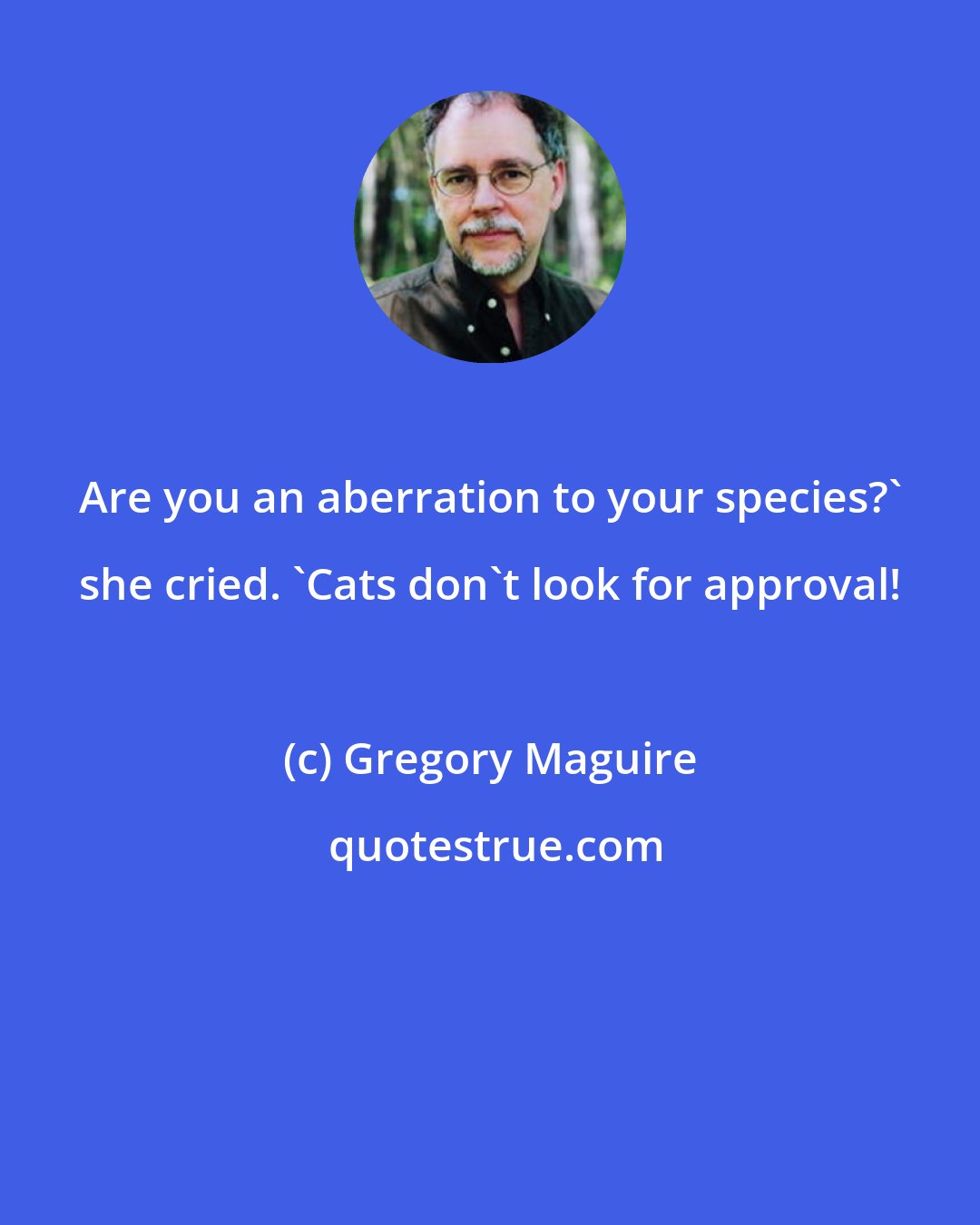 Gregory Maguire: Are you an aberration to your species?' she cried. 'Cats don't look for approval!