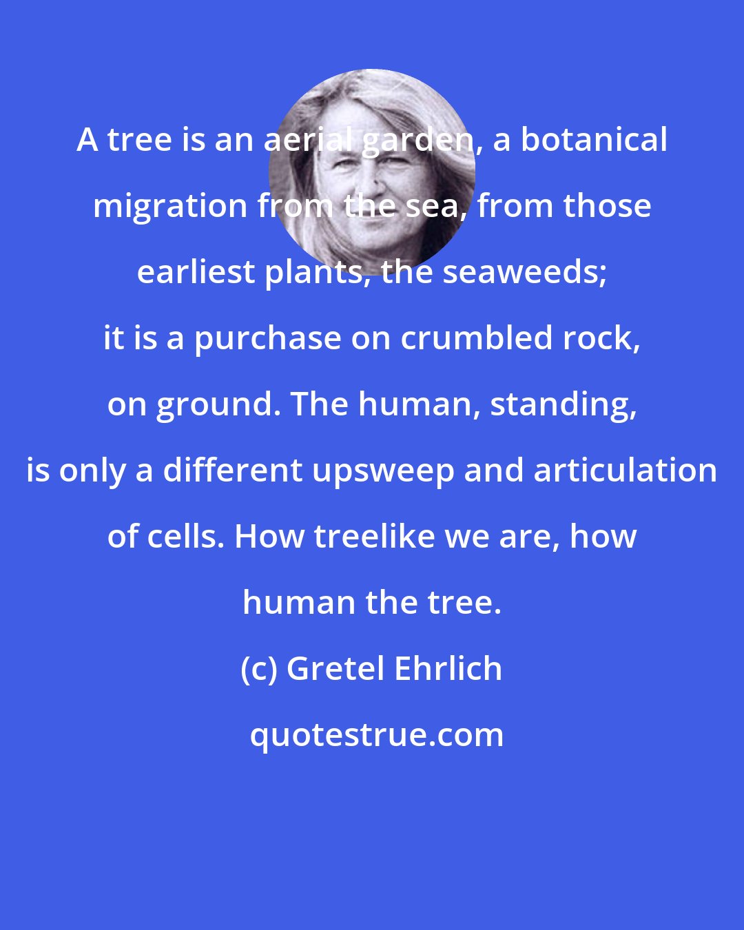 Gretel Ehrlich: A tree is an aerial garden, a botanical migration from the sea, from those earliest plants, the seaweeds; it is a purchase on crumbled rock, on ground. The human, standing, is only a different upsweep and articulation of cells. How treelike we are, how human the tree.