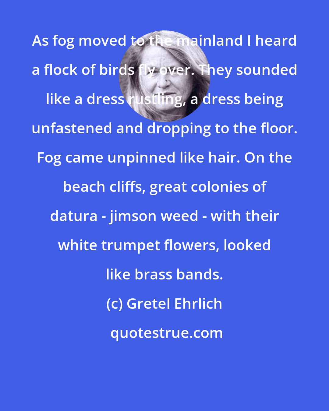 Gretel Ehrlich: As fog moved to the mainland I heard a flock of birds fly over. They sounded like a dress rustling, a dress being unfastened and dropping to the floor. Fog came unpinned like hair. On the beach cliffs, great colonies of datura - jimson weed - with their white trumpet flowers, looked like brass bands.