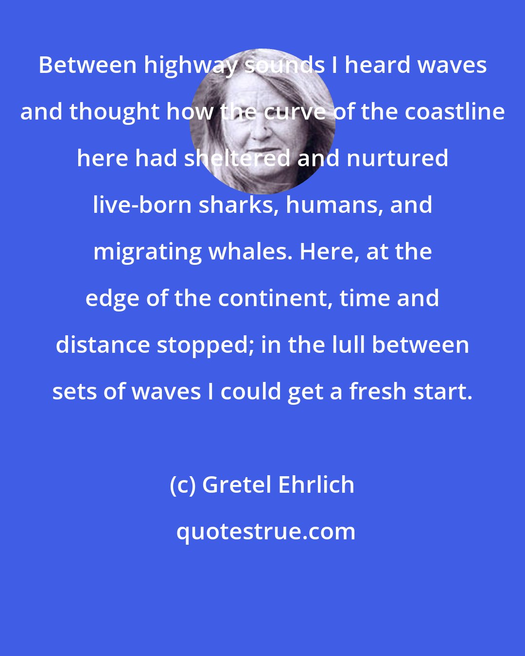 Gretel Ehrlich: Between highway sounds I heard waves and thought how the curve of the coastline here had sheltered and nurtured live-born sharks, humans, and migrating whales. Here, at the edge of the continent, time and distance stopped; in the lull between sets of waves I could get a fresh start.