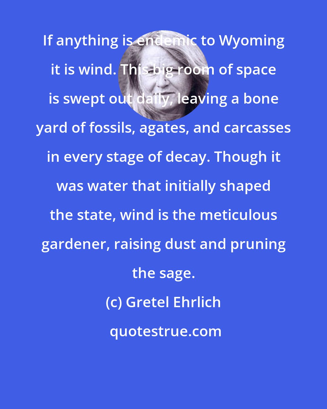 Gretel Ehrlich: If anything is endemic to Wyoming it is wind. This big room of space is swept out daily, leaving a bone yard of fossils, agates, and carcasses in every stage of decay. Though it was water that initially shaped the state, wind is the meticulous gardener, raising dust and pruning the sage.