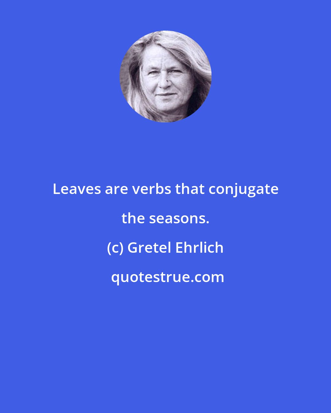 Gretel Ehrlich: Leaves are verbs that conjugate the seasons.