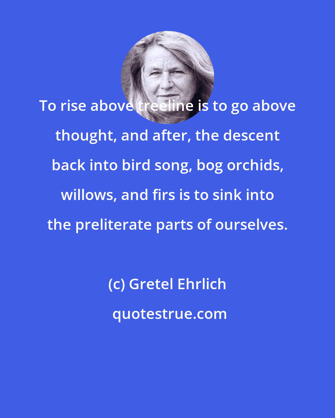 Gretel Ehrlich: To rise above treeline is to go above thought, and after, the descent back into bird song, bog orchids, willows, and firs is to sink into the preliterate parts of ourselves.