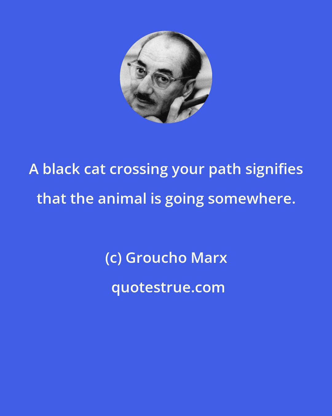 Groucho Marx: A black cat crossing your path signifies that the animal is going somewhere.