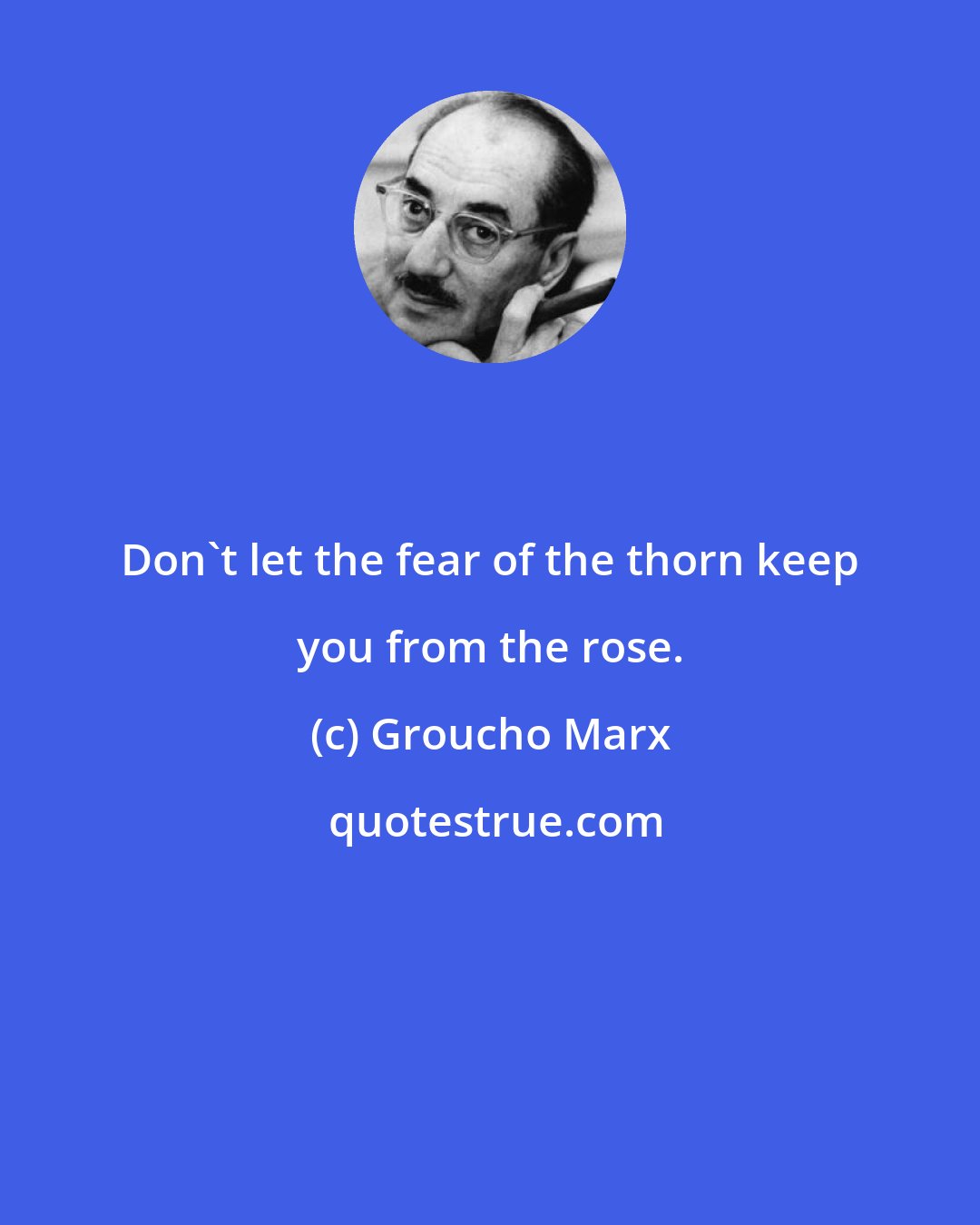 Groucho Marx: Don't let the fear of the thorn keep you from the rose.