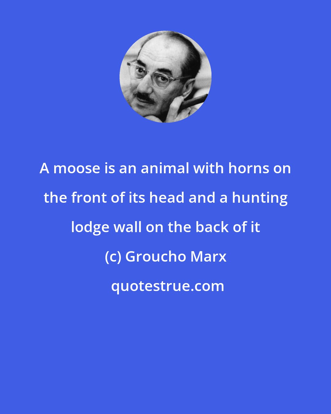 Groucho Marx: A moose is an animal with horns on the front of its head and a hunting lodge wall on the back of it