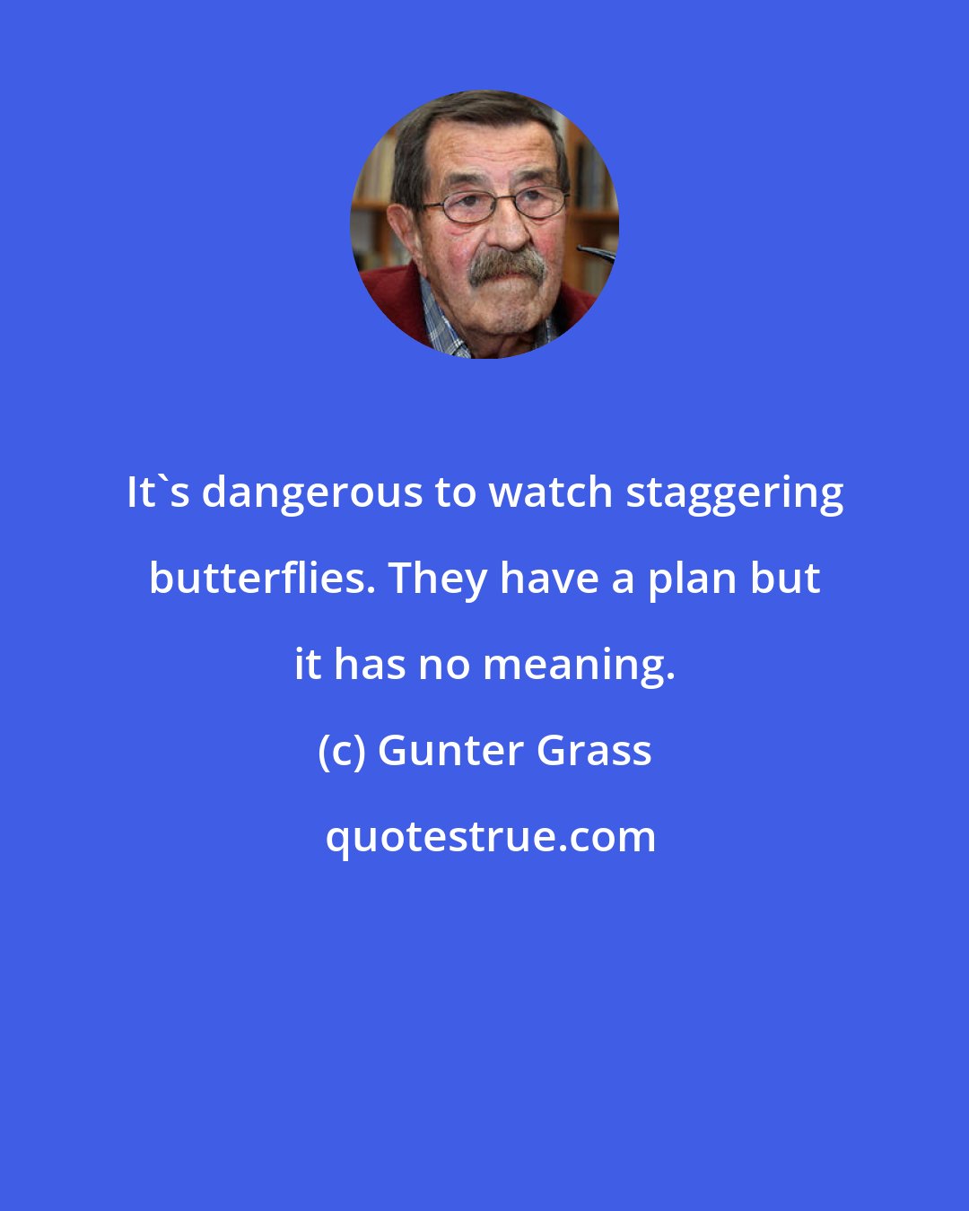 Gunter Grass: It's dangerous to watch staggering butterflies. They have a plan but it has no meaning.