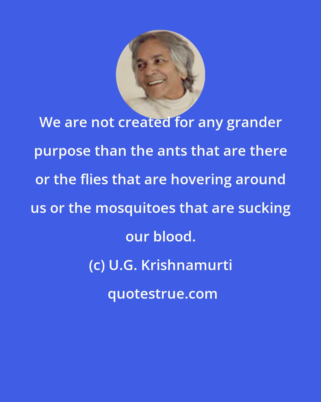 U.G. Krishnamurti: We are not created for any grander purpose than the ants that are there or the flies that are hovering around us or the mosquitoes that are sucking our blood.