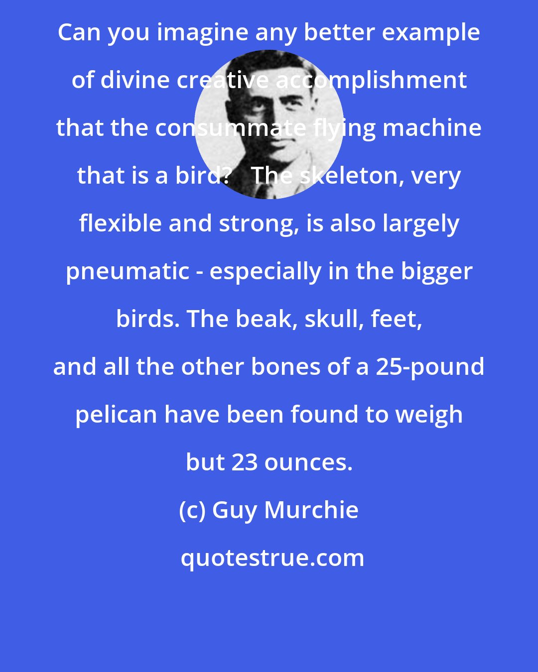 Guy Murchie: Can you imagine any better example of divine creative accomplishment that the consummate flying machine that is a bird?   The skeleton, very flexible and strong, is also largely pneumatic - especially in the bigger birds. The beak, skull, feet, and all the other bones of a 25-pound pelican have been found to weigh but 23 ounces.