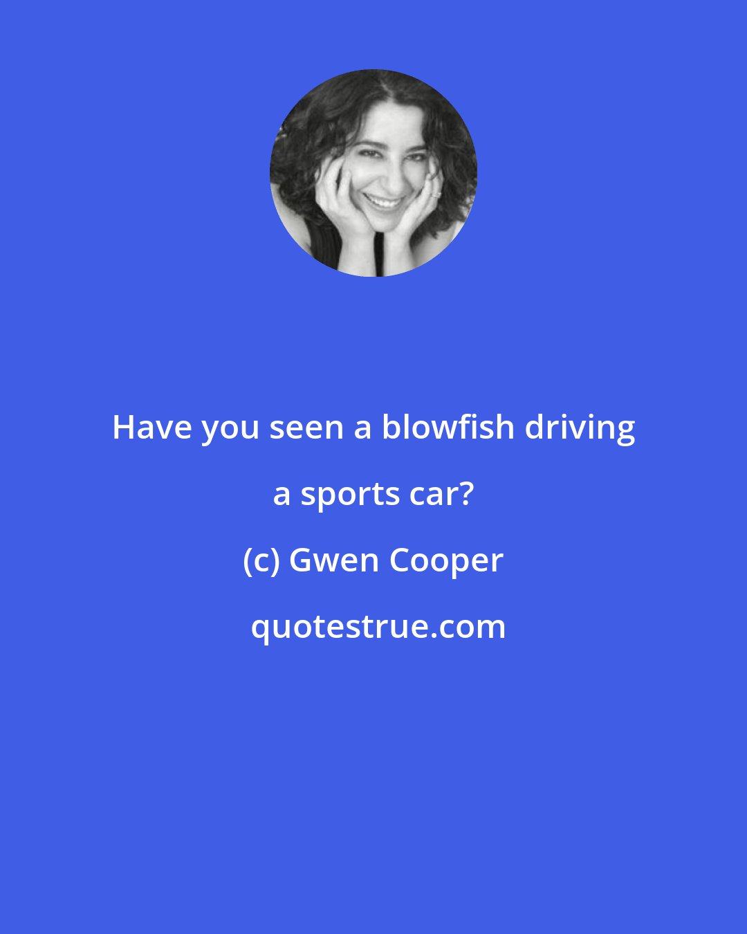 Gwen Cooper: Have you seen a blowfish driving a sports car?