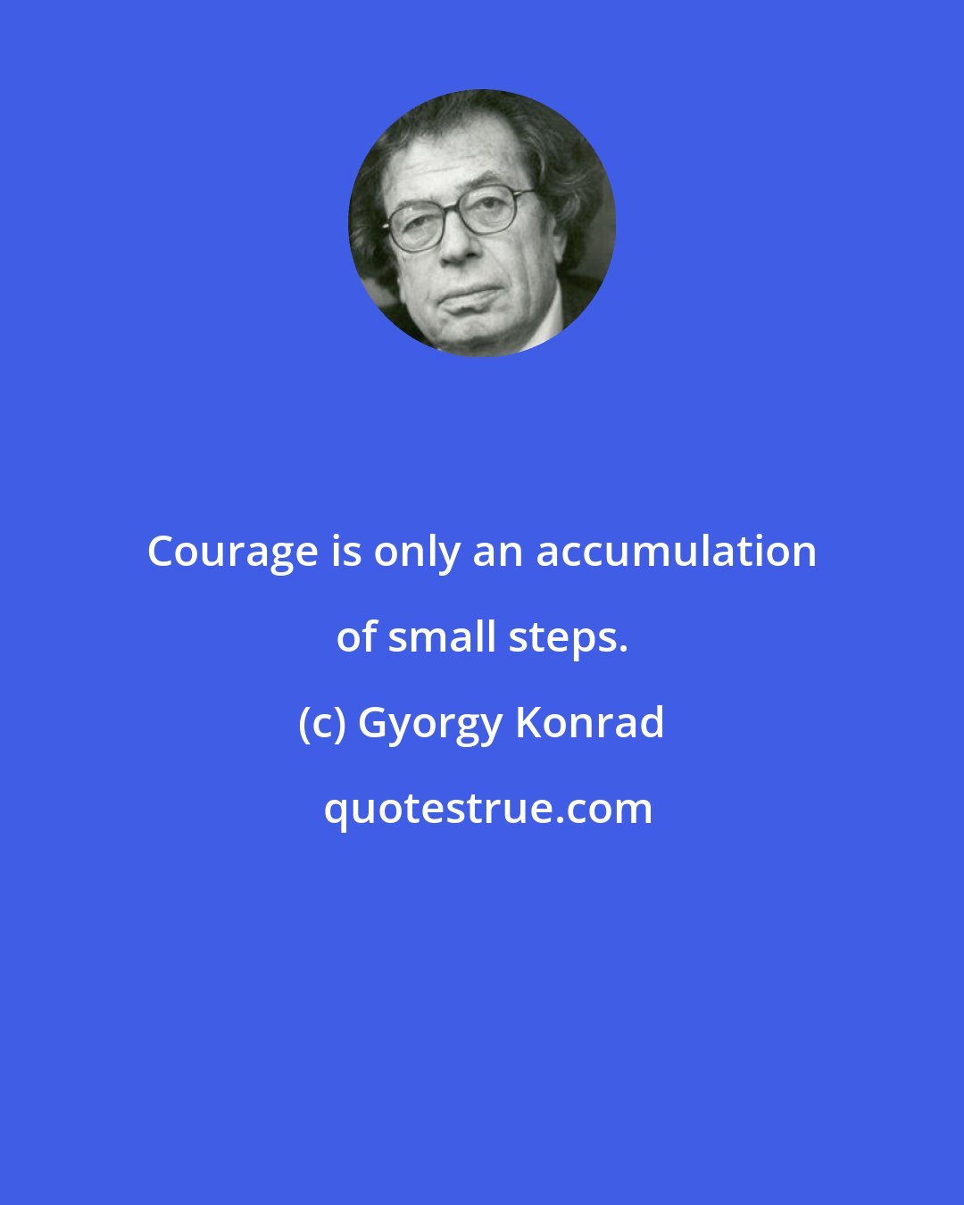 Gyorgy Konrad: Courage is only an accumulation of small steps.