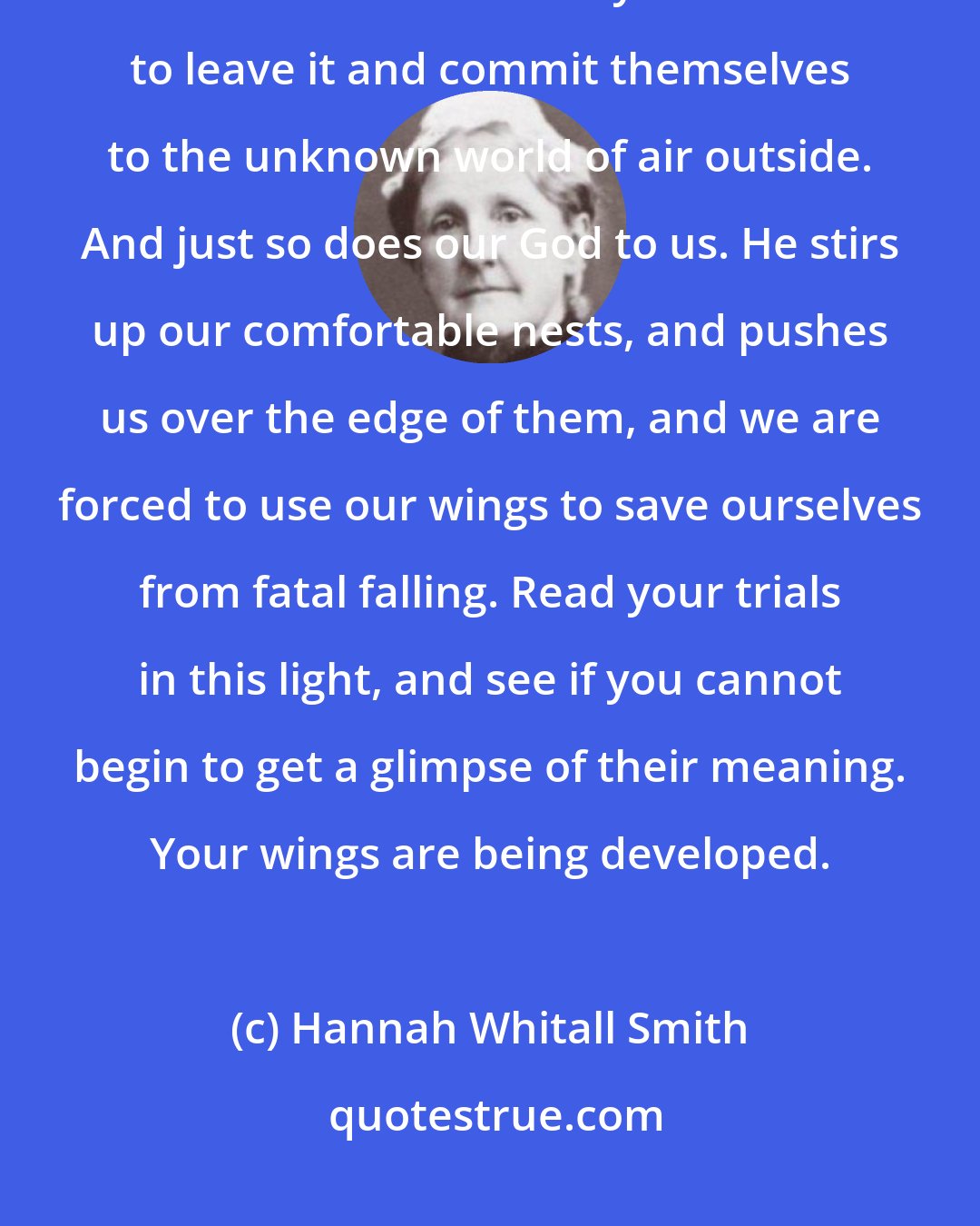 Hannah Whitall Smith: The mother eagle teaches her little ones to fly by making their nest so uncomfortable that they are forced to leave it and commit themselves to the unknown world of air outside. And just so does our God to us. He stirs up our comfortable nests, and pushes us over the edge of them, and we are forced to use our wings to save ourselves from fatal falling. Read your trials in this light, and see if you cannot begin to get a glimpse of their meaning. Your wings are being developed.