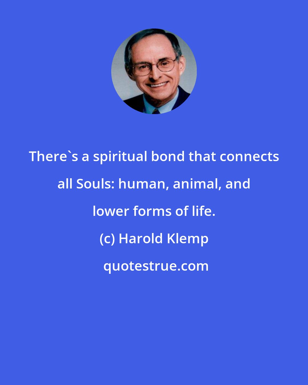 Harold Klemp: There's a spiritual bond that connects all Souls: human, animal, and lower forms of life.