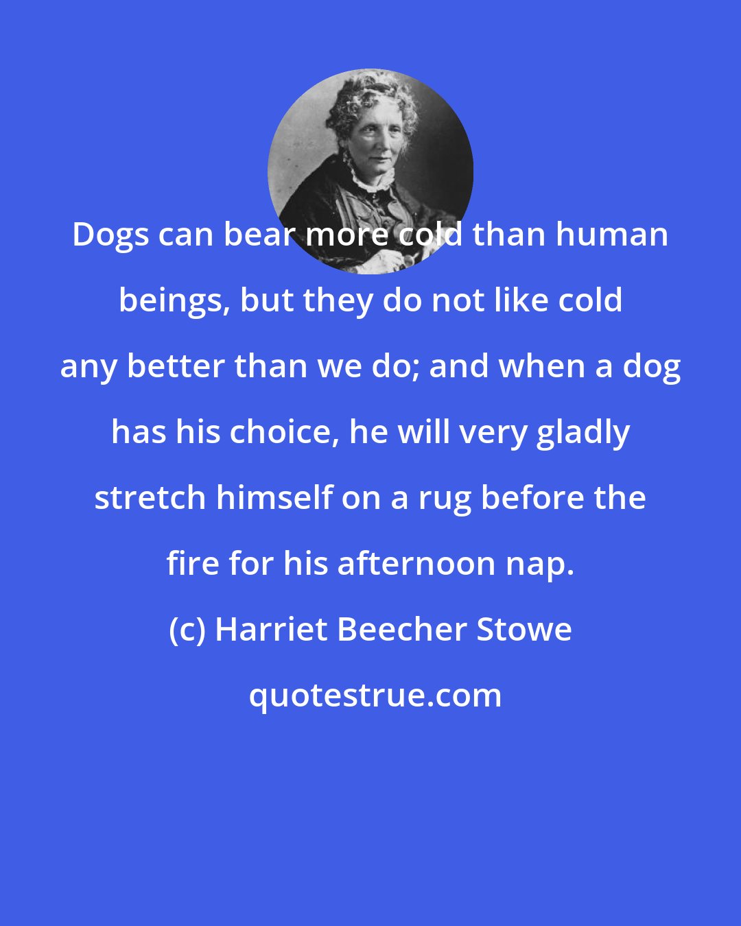 Harriet Beecher Stowe: Dogs can bear more cold than human beings, but they do not like cold any better than we do; and when a dog has his choice, he will very gladly stretch himself on a rug before the fire for his afternoon nap.