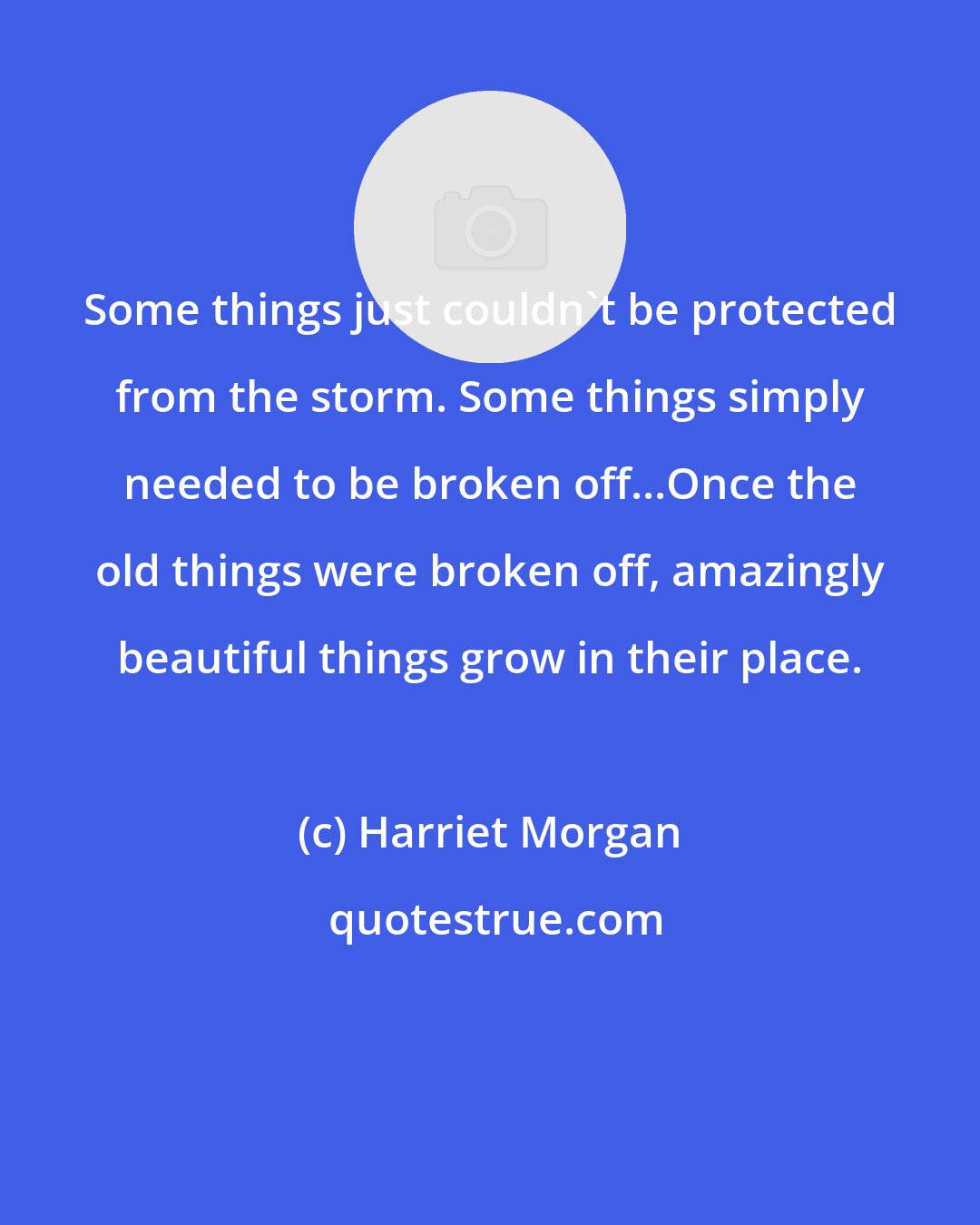 Harriet Morgan: Some things just couldn't be protected from the storm. Some things simply needed to be broken off...Once the old things were broken off, amazingly beautiful things grow in their place.