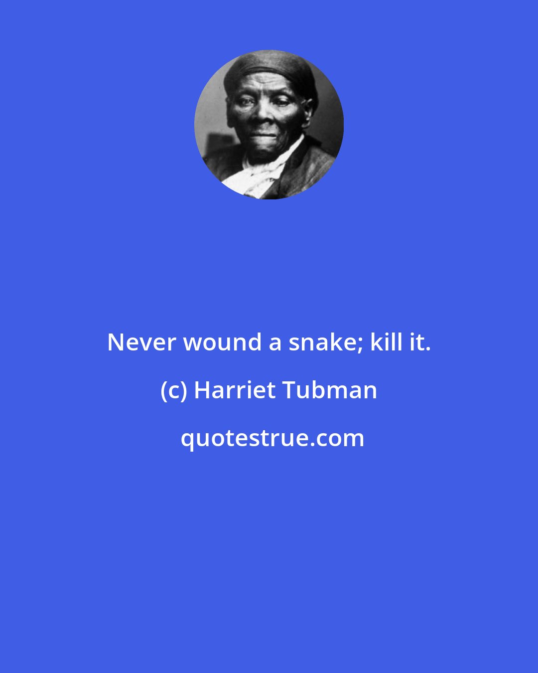 Harriet Tubman: Never wound a snake; kill it.