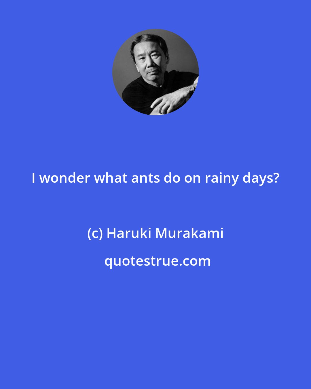 Haruki Murakami: I wonder what ants do on rainy days?