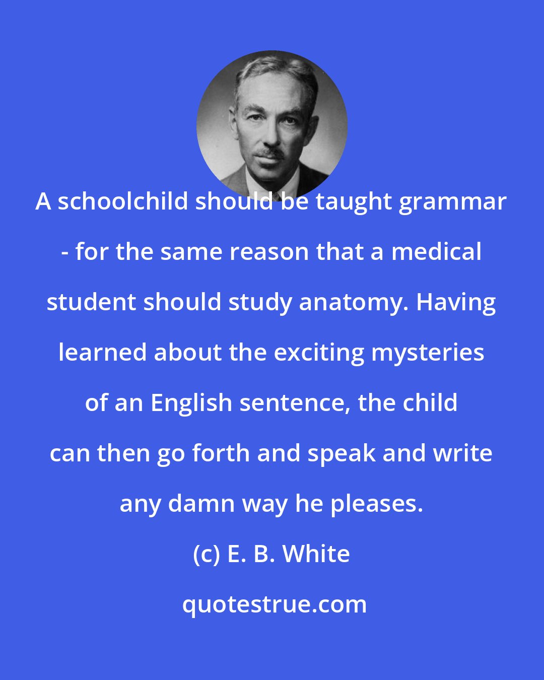 E. B. White: A schoolchild should be taught grammar - for the same reason that a medical student should study anatomy. Having learned about the exciting mysteries of an English sentence, the child can then go forth and speak and write any damn way he pleases.