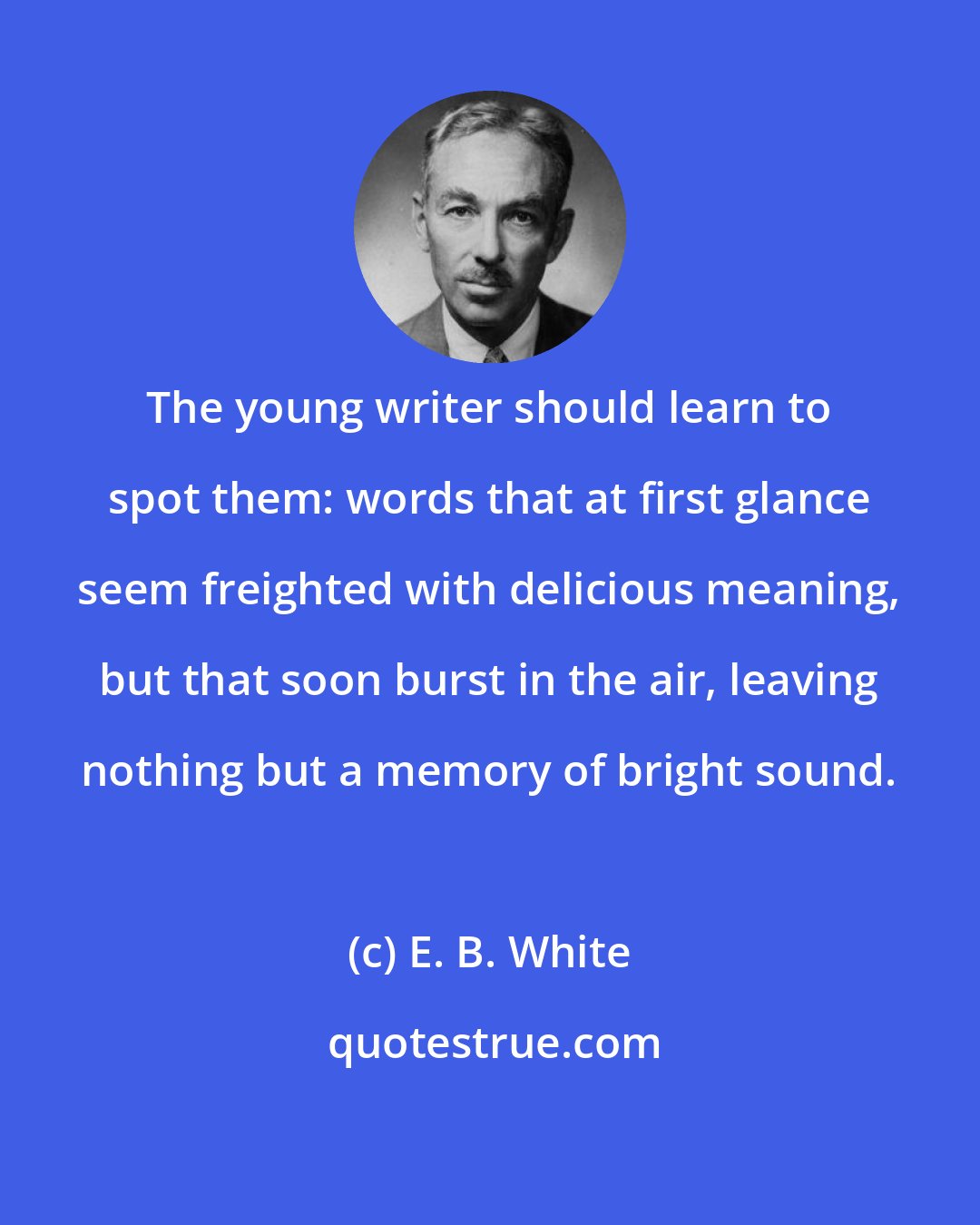 E. B. White: The young writer should learn to spot them: words that at first glance seem freighted with delicious meaning, but that soon burst in the air, leaving nothing but a memory of bright sound.