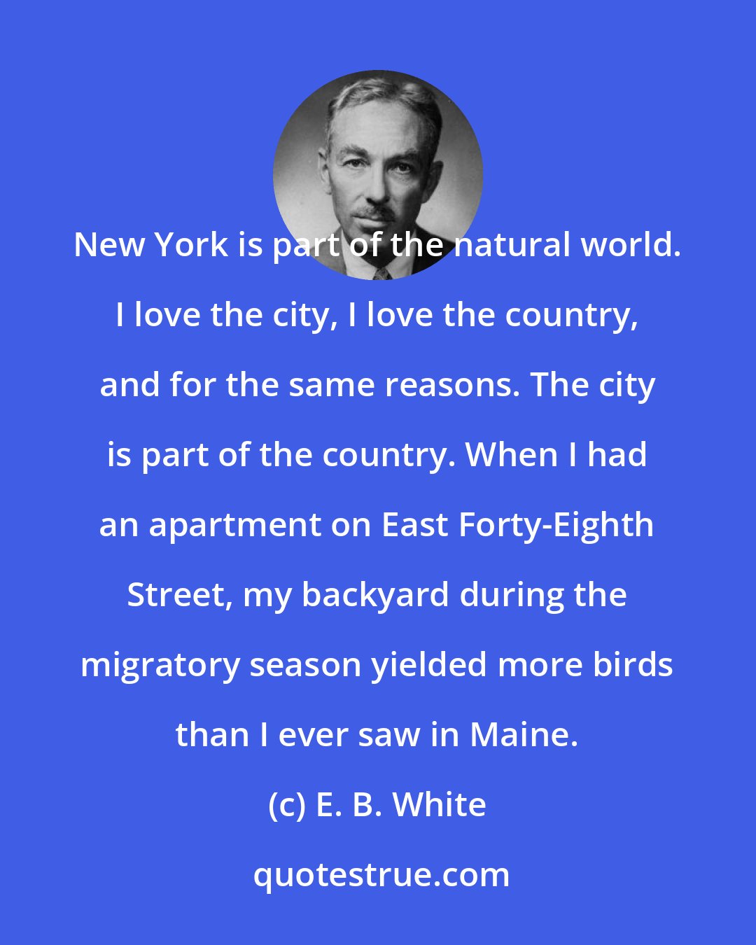 E. B. White: New York is part of the natural world. I love the city, I love the country, and for the same reasons. The city is part of the country. When I had an apartment on East Forty-Eighth Street, my backyard during the migratory season yielded more birds than I ever saw in Maine.