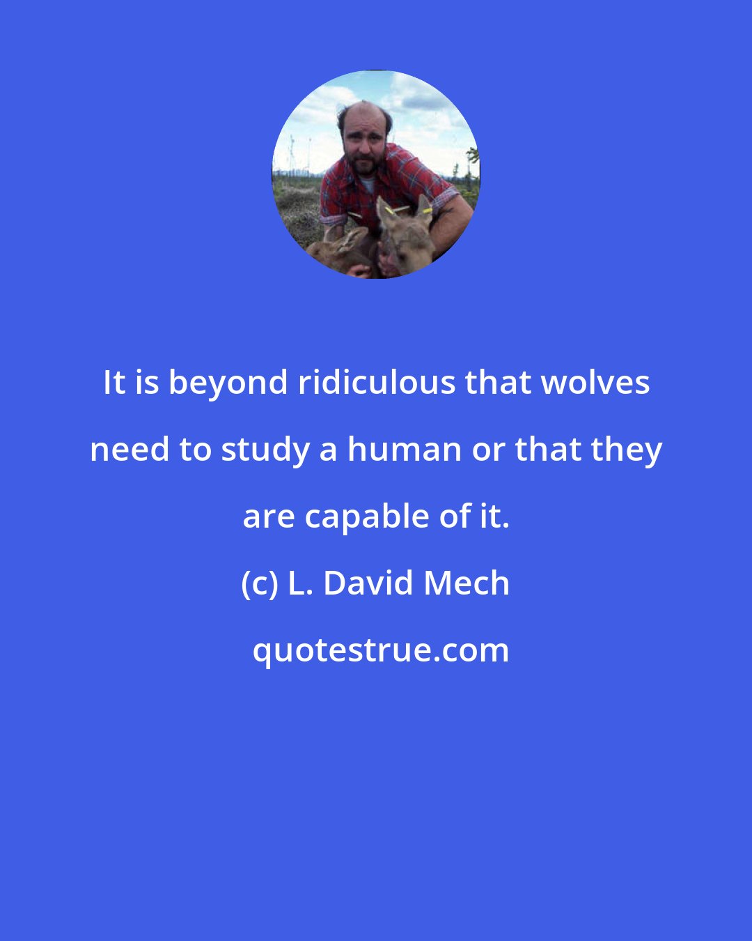 L. David Mech: It is beyond ridiculous that wolves need to study a human or that they are capable of it.