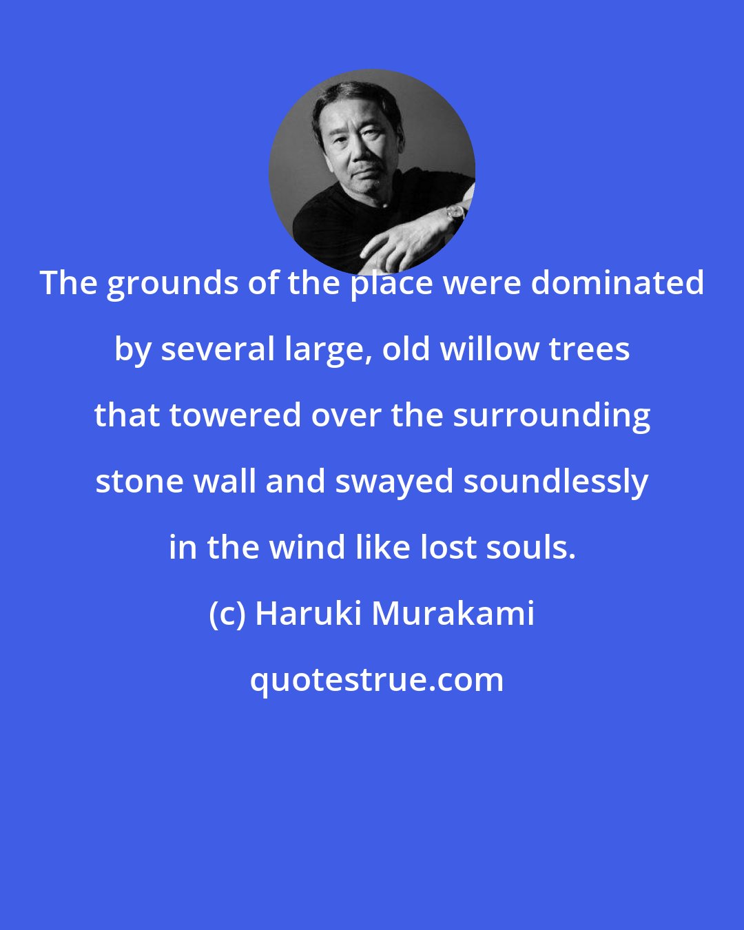 Haruki Murakami: The grounds of the place were dominated by several large, old willow trees that towered over the surrounding stone wall and swayed soundlessly in the wind like lost souls.