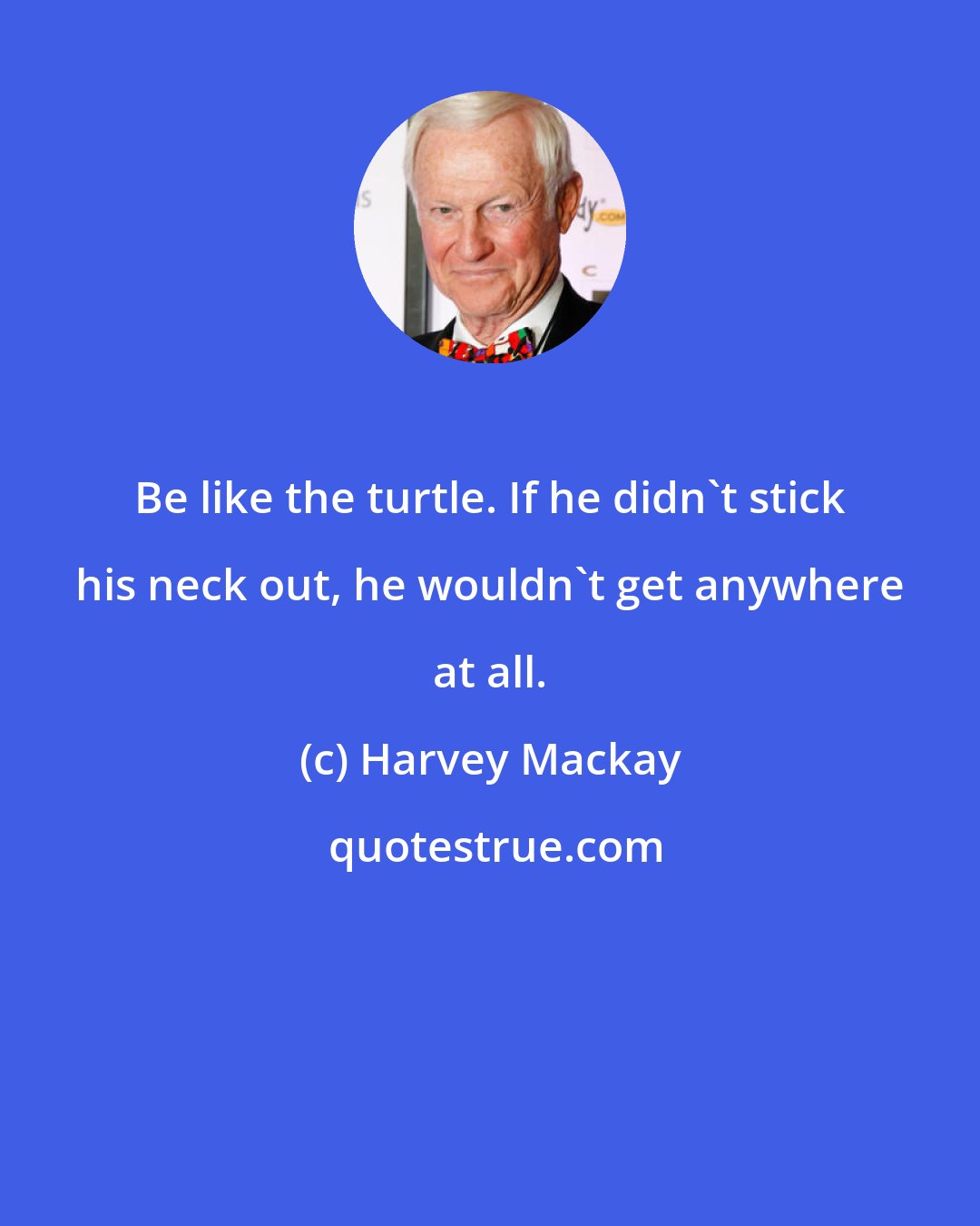 Harvey Mackay: Be like the turtle. If he didn't stick his neck out, he wouldn't get anywhere at all.