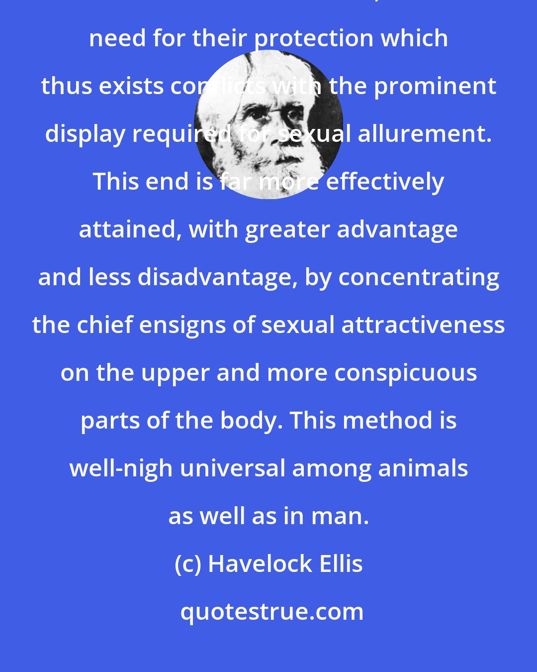 Havelock Ellis: The sexual regions constitute a particularly vulnerable spot, and remain so even in man, and the need for their protection which thus exists conflicts with the prominent display required for sexual allurement. This end is far more effectively attained, with greater advantage and less disadvantage, by concentrating the chief ensigns of sexual attractiveness on the upper and more conspicuous parts of the body. This method is well-nigh universal among animals as well as in man.