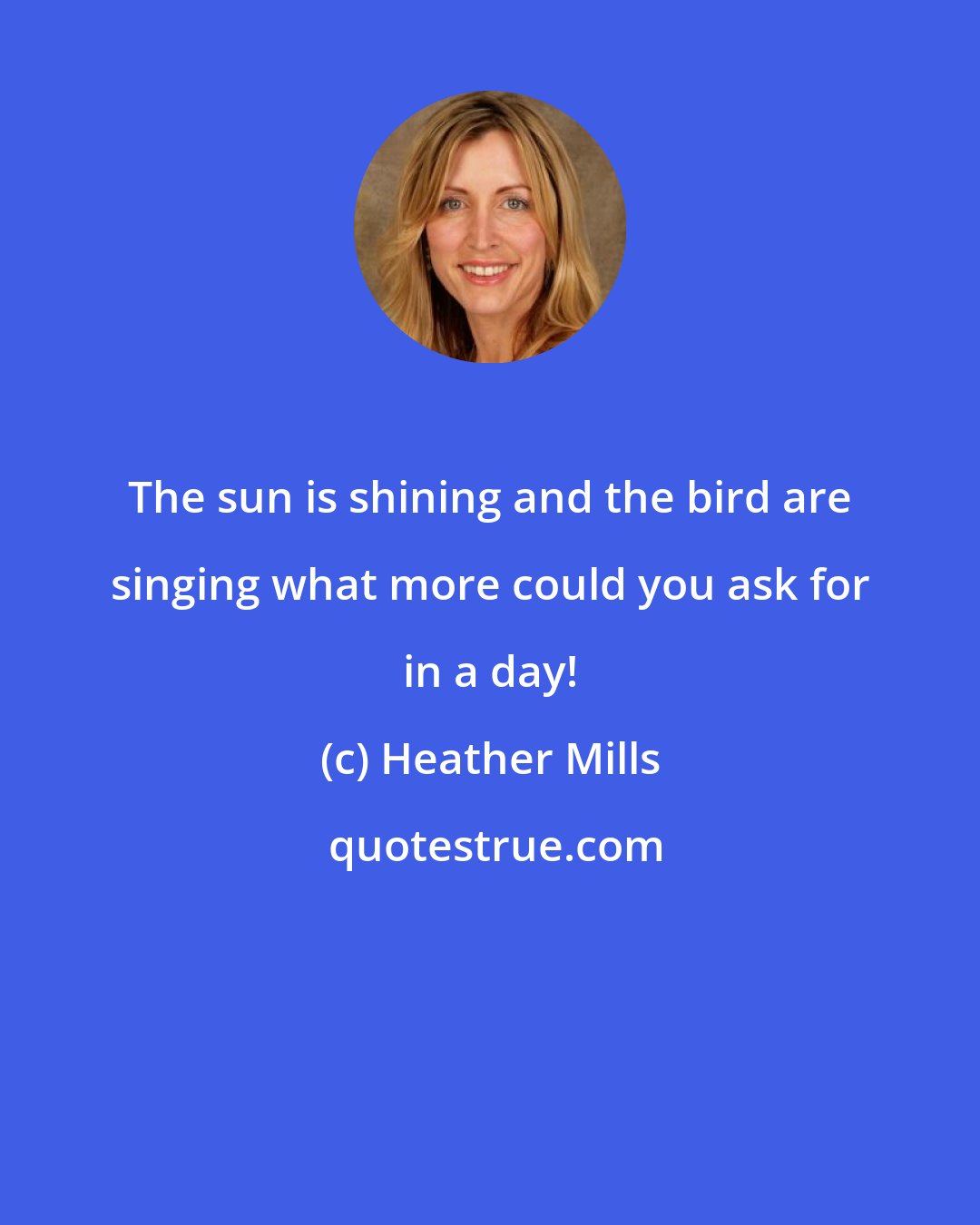 Heather Mills: The sun is shining and the bird are singing what more could you ask for in a day!