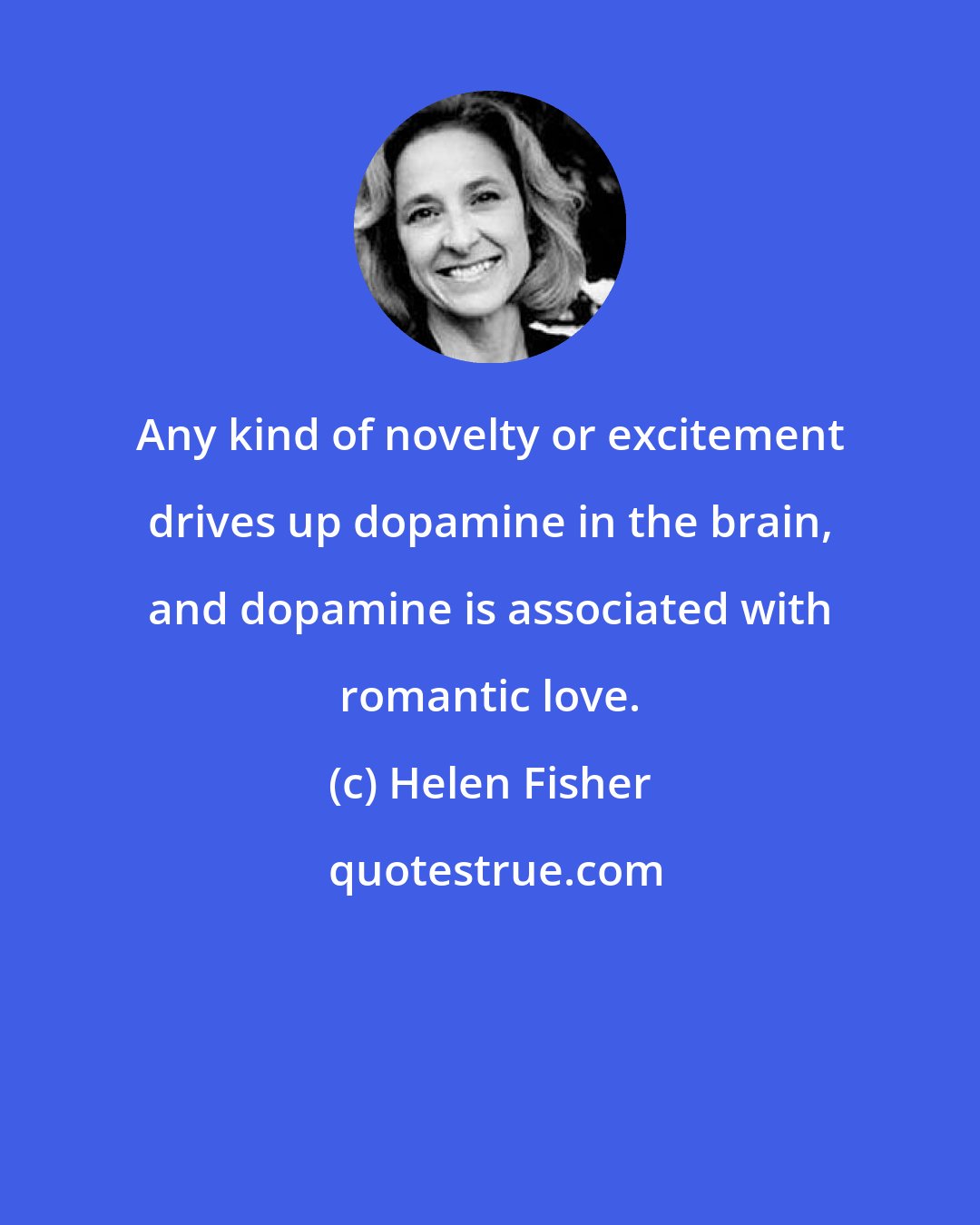 Helen Fisher: Any kind of novelty or excitement drives up dopamine in the brain, and dopamine is associated with romantic love.