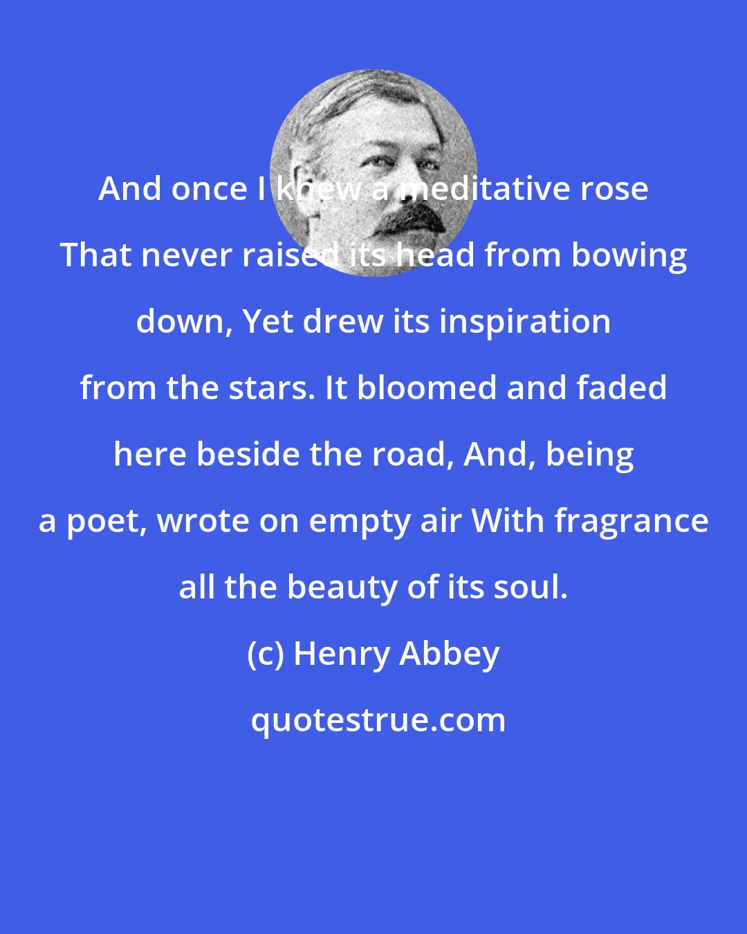 Henry Abbey: And once I knew a meditative rose That never raised its head from bowing down, Yet drew its inspiration from the stars. It bloomed and faded here beside the road, And, being a poet, wrote on empty air With fragrance all the beauty of its soul.