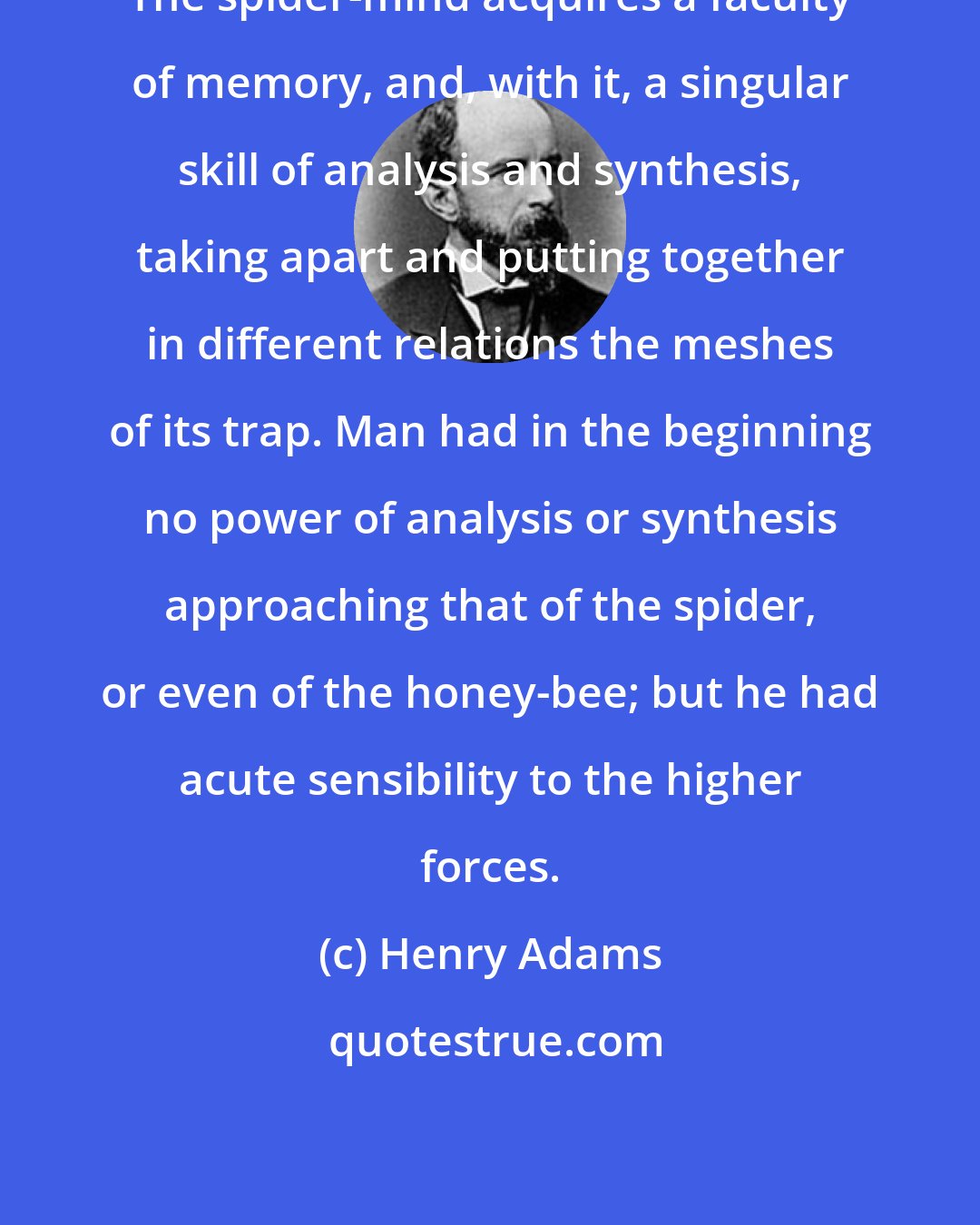 Henry Adams: The spider-mind acquires a faculty of memory, and, with it, a singular skill of analysis and synthesis, taking apart and putting together in different relations the meshes of its trap. Man had in the beginning no power of analysis or synthesis approaching that of the spider, or even of the honey-bee; but he had acute sensibility to the higher forces.