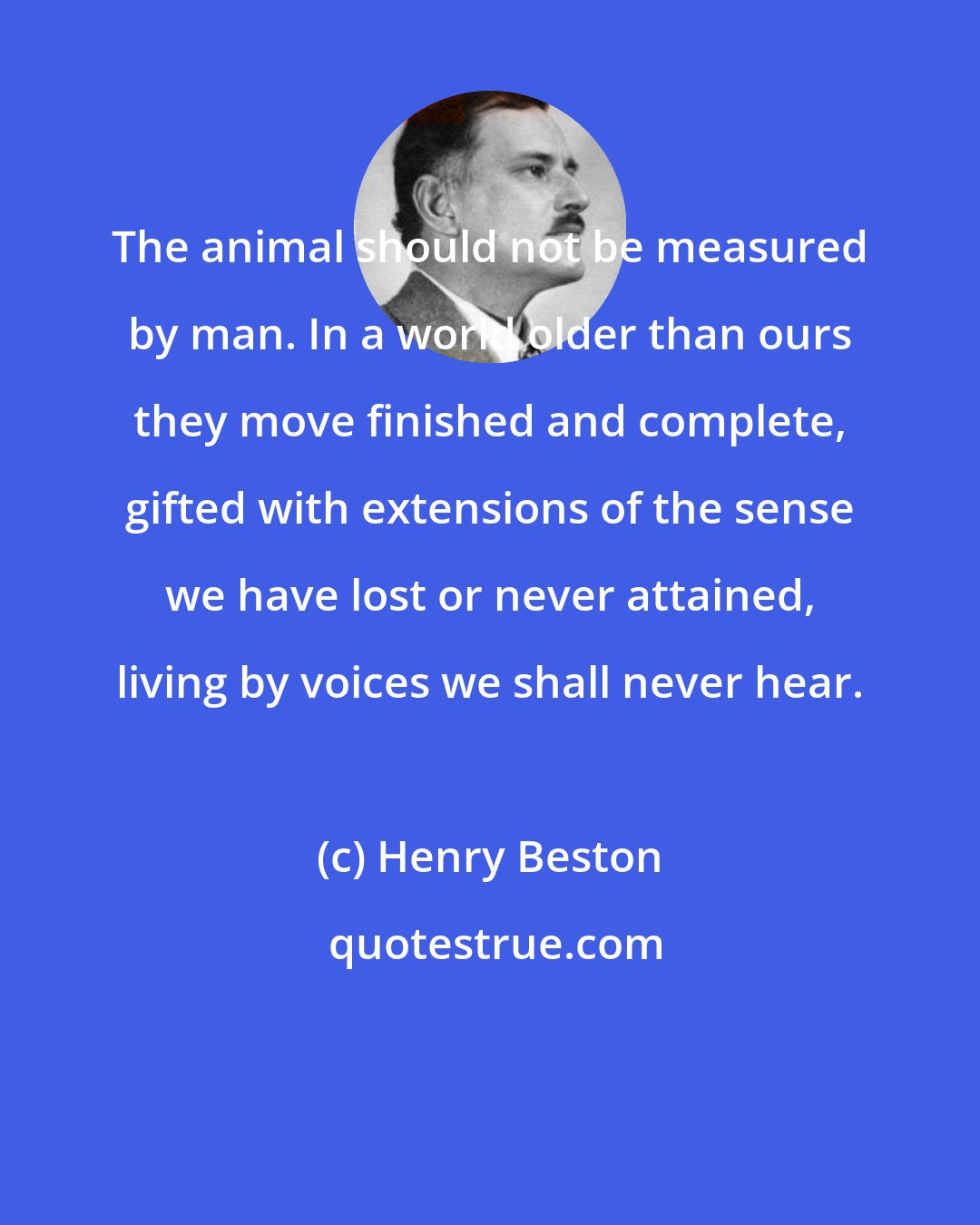 Henry Beston: The animal should not be measured by man. In a world older than ours they move finished and complete, gifted with extensions of the sense we have lost or never attained, living by voices we shall never hear.