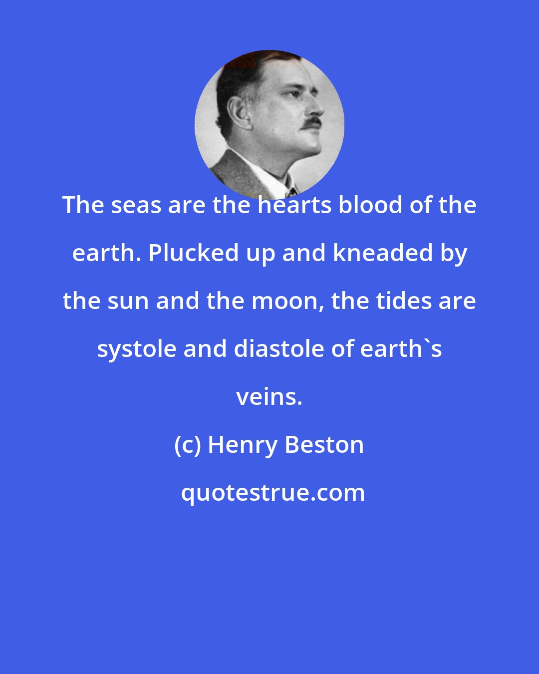 Henry Beston: The seas are the hearts blood of the earth. Plucked up and kneaded by the sun and the moon, the tides are systole and diastole of earth's veins.