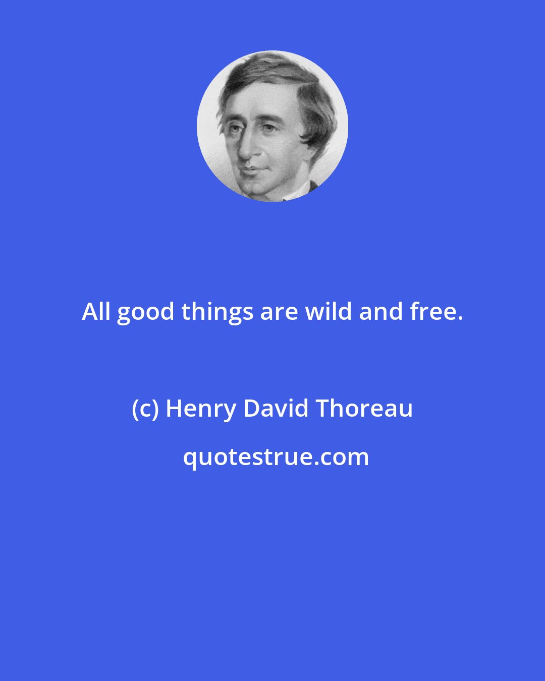 Henry David Thoreau: All good things are wild and free.