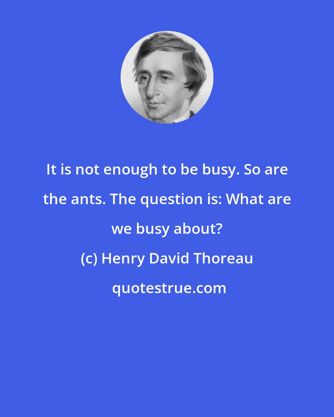 Henry David Thoreau: It is not enough to be busy. So are the ants. The question is: What are we busy about?