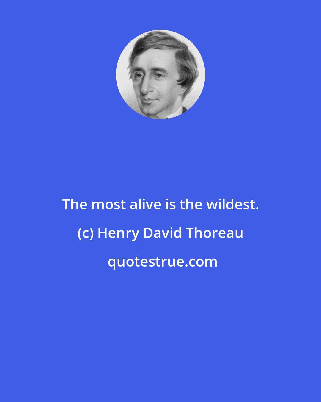 Henry David Thoreau: The most alive is the wildest.