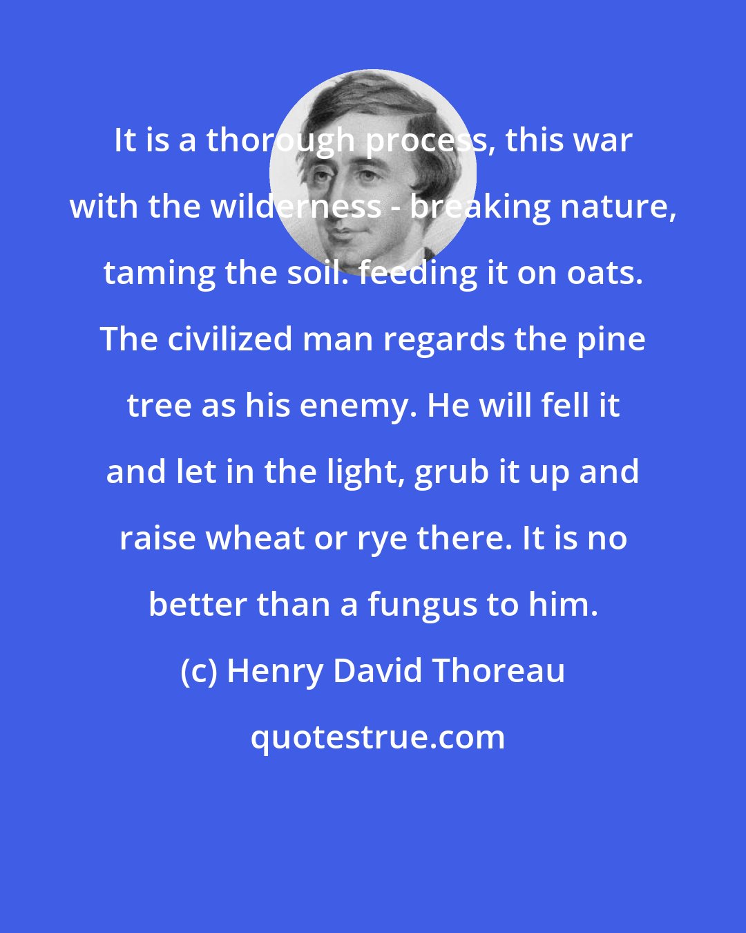 Henry David Thoreau: It is a thorough process, this war with the wilderness - breaking nature, taming the soil. feeding it on oats. The civilized man regards the pine tree as his enemy. He will fell it and let in the light, grub it up and raise wheat or rye there. It is no better than a fungus to him.