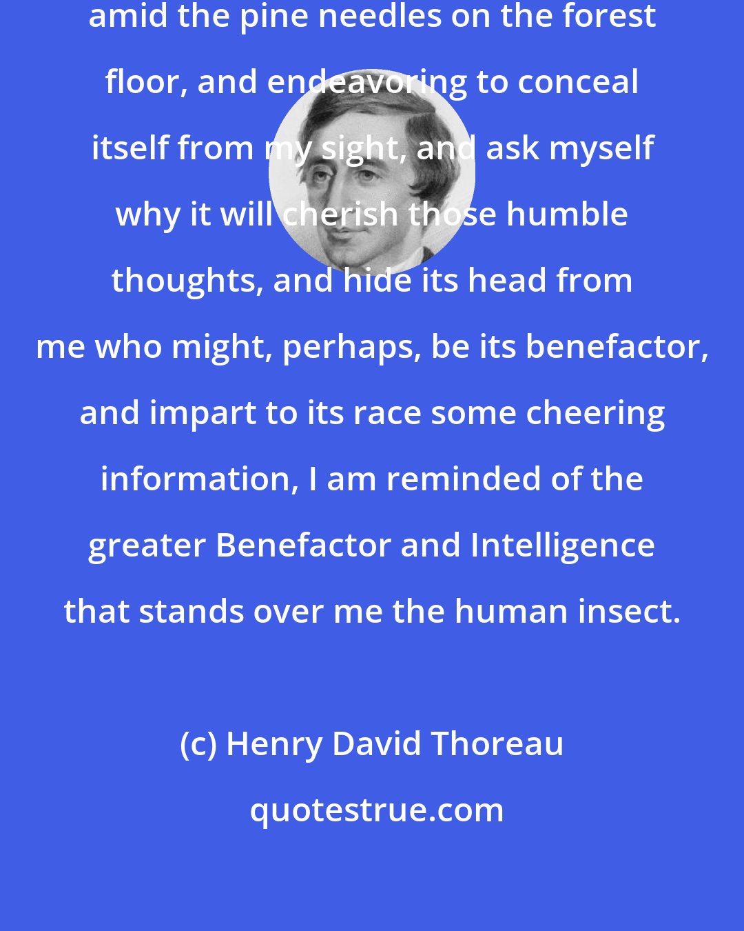 Henry David Thoreau: As I stand over the insect crawling amid the pine needles on the forest floor, and endeavoring to conceal itself from my sight, and ask myself why it will cherish those humble thoughts, and hide its head from me who might, perhaps, be its benefactor, and impart to its race some cheering information, I am reminded of the greater Benefactor and Intelligence that stands over me the human insect.