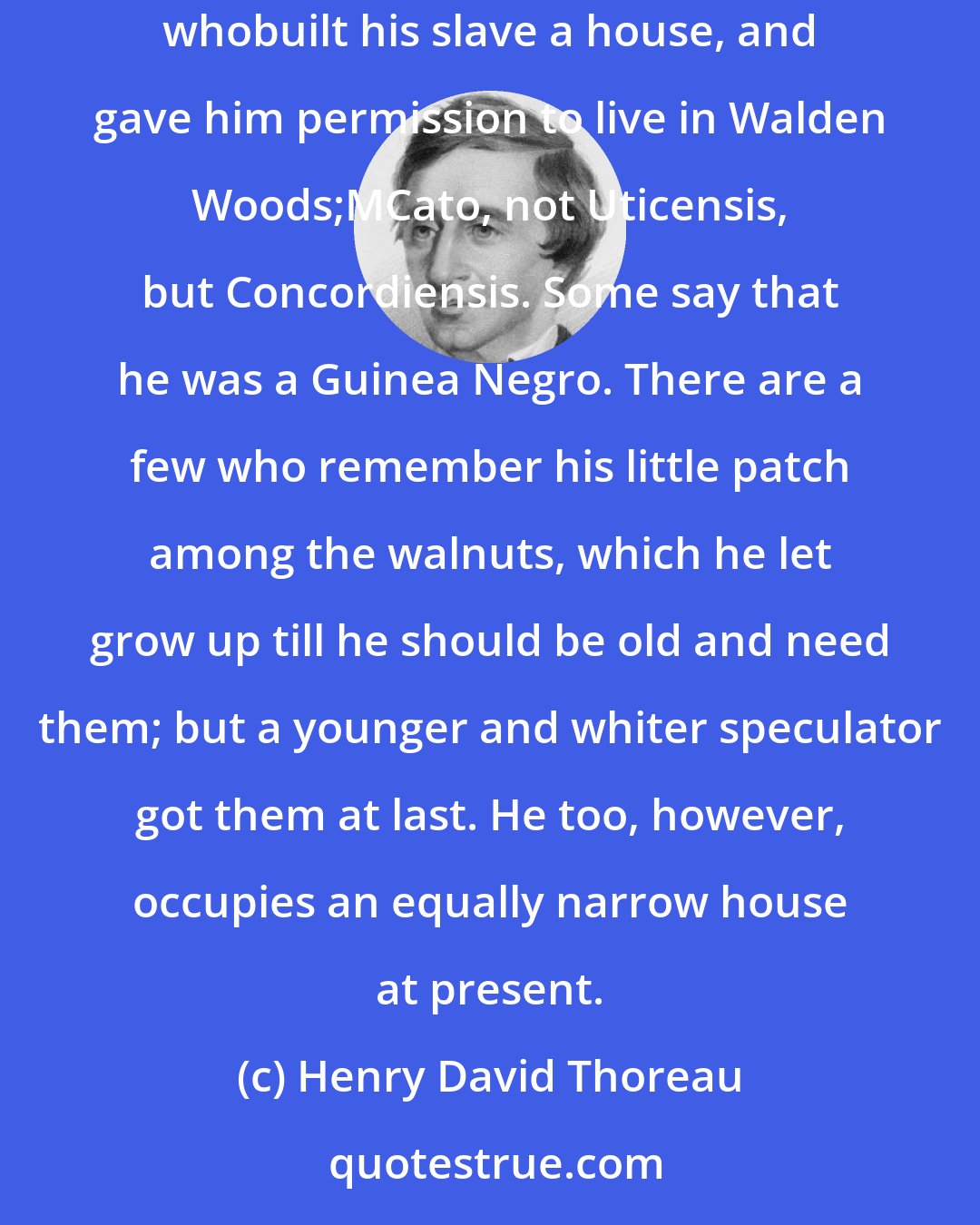 Henry David Thoreau: East of my bean-field, across the road, lived Cato Ingraham, slave of Duncan Ingraham, Esquire, gentleman, of Concord village, whobuilt his slave a house, and gave him permission to live in Walden Woods;MCato, not Uticensis, but Concordiensis. Some say that he was a Guinea Negro. There are a few who remember his little patch among the walnuts, which he let grow up till he should be old and need them; but a younger and whiter speculator got them at last. He too, however, occupies an equally narrow house at present.