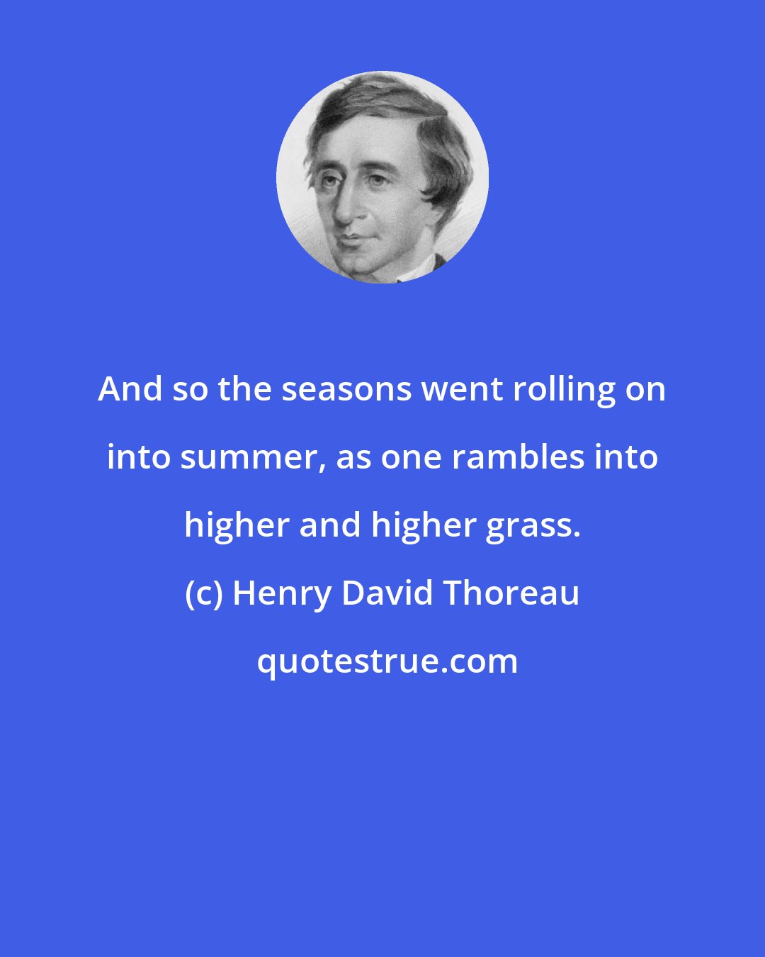 Henry David Thoreau: And so the seasons went rolling on into summer, as one rambles into higher and higher grass.