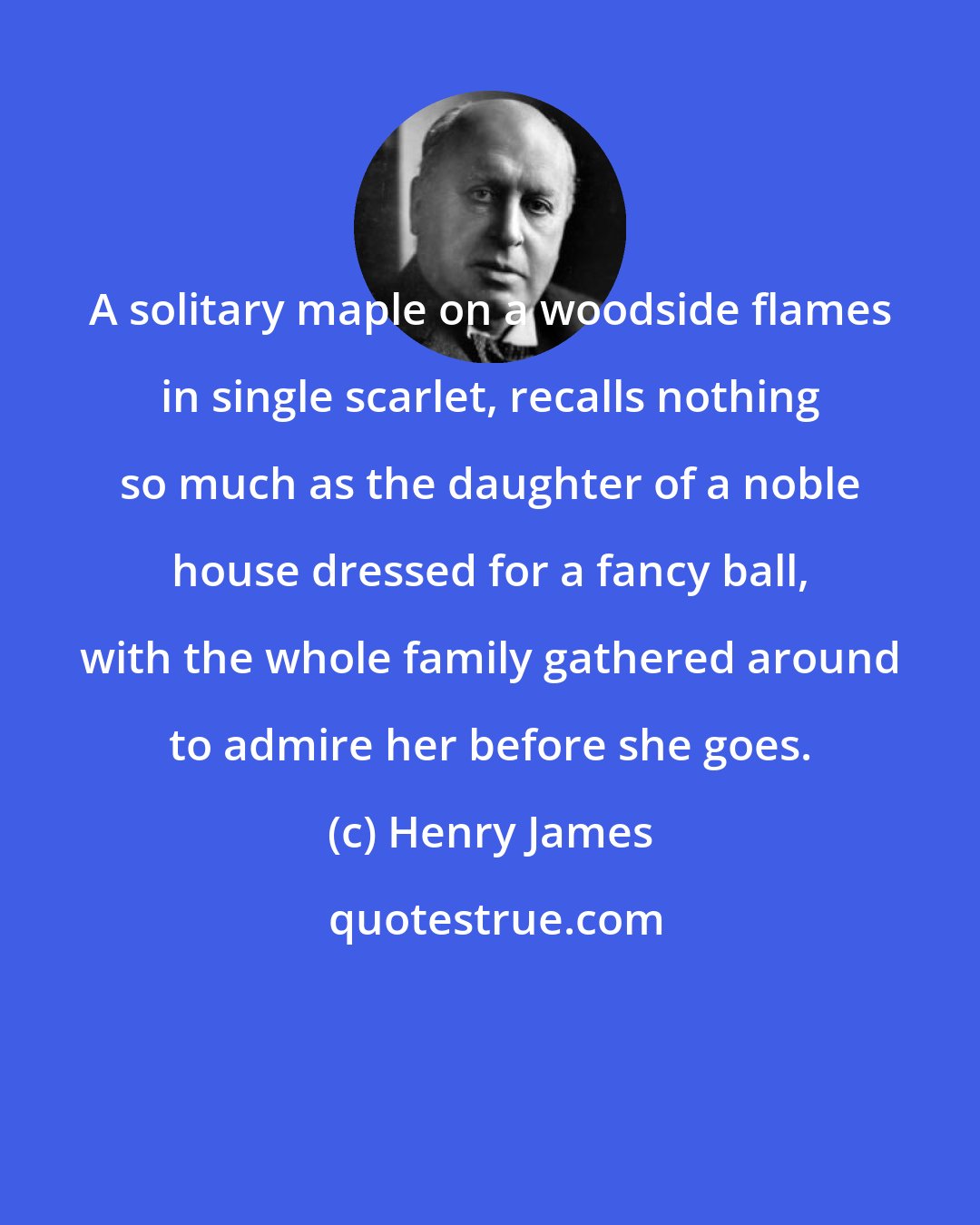 Henry James: A solitary maple on a woodside flames in single scarlet, recalls nothing so much as the daughter of a noble house dressed for a fancy ball, with the whole family gathered around to admire her before she goes.