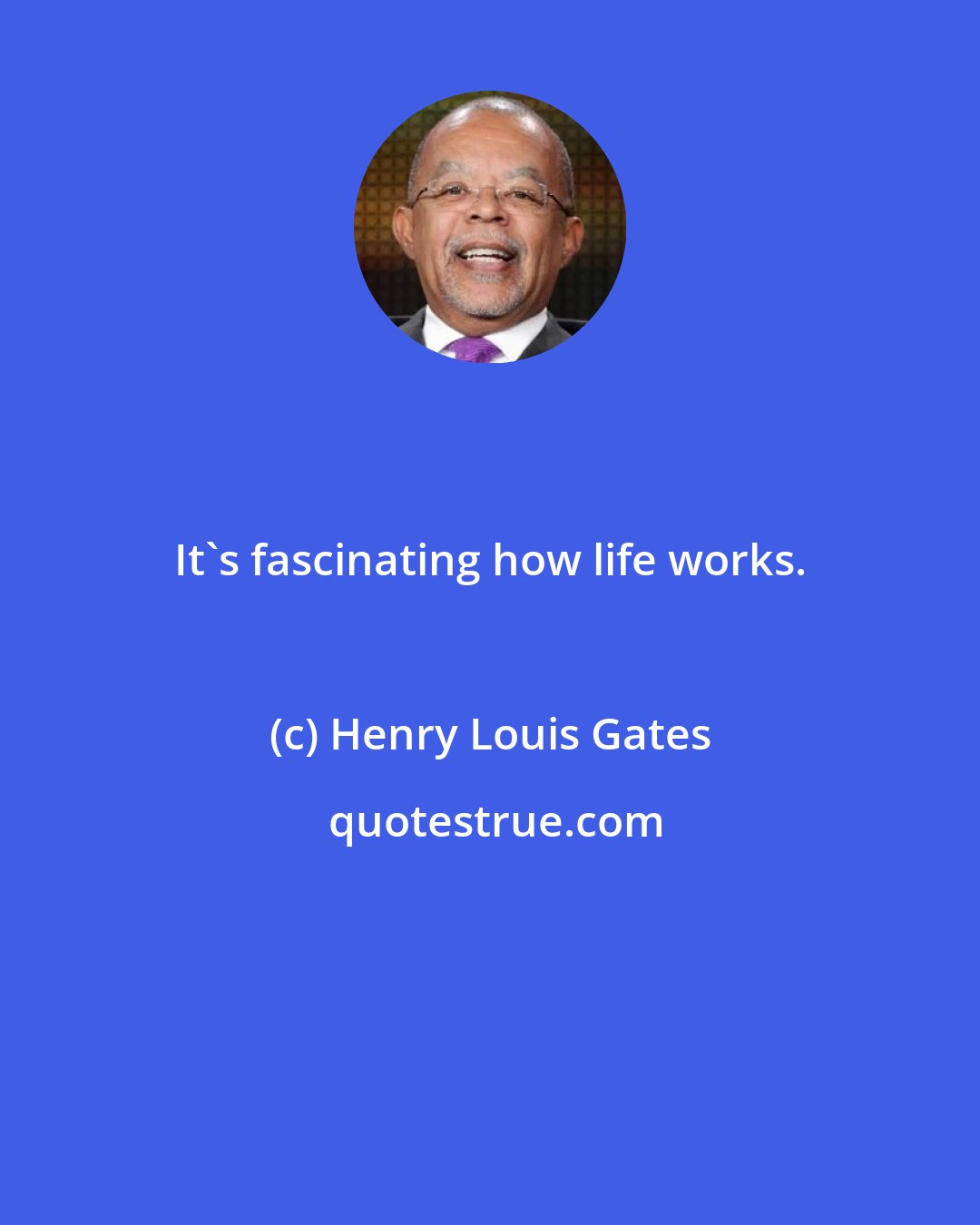 Henry Louis Gates: It's fascinating how life works.