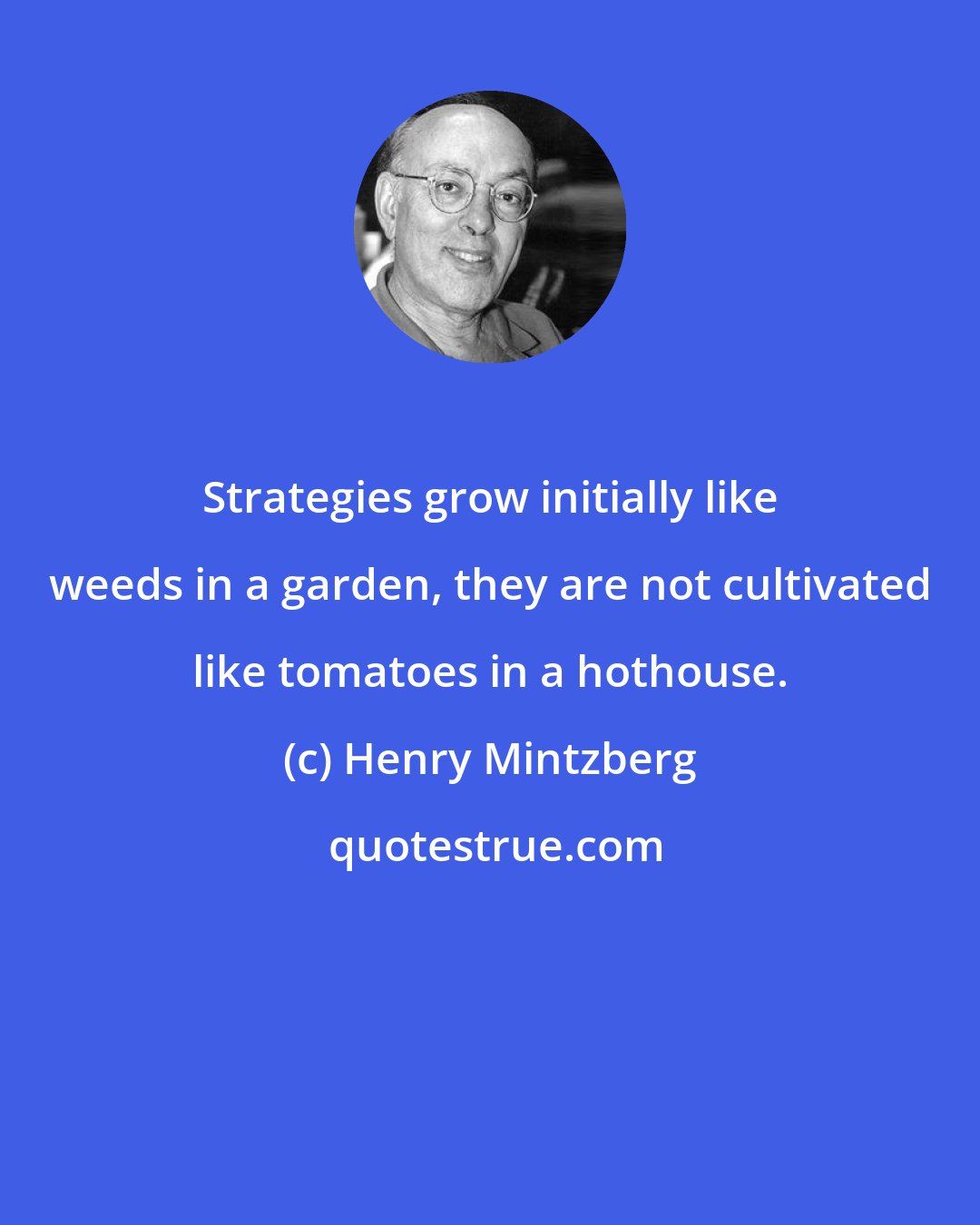 Henry Mintzberg: Strategies grow initially like weeds in a garden, they are not cultivated like tomatoes in a hothouse.