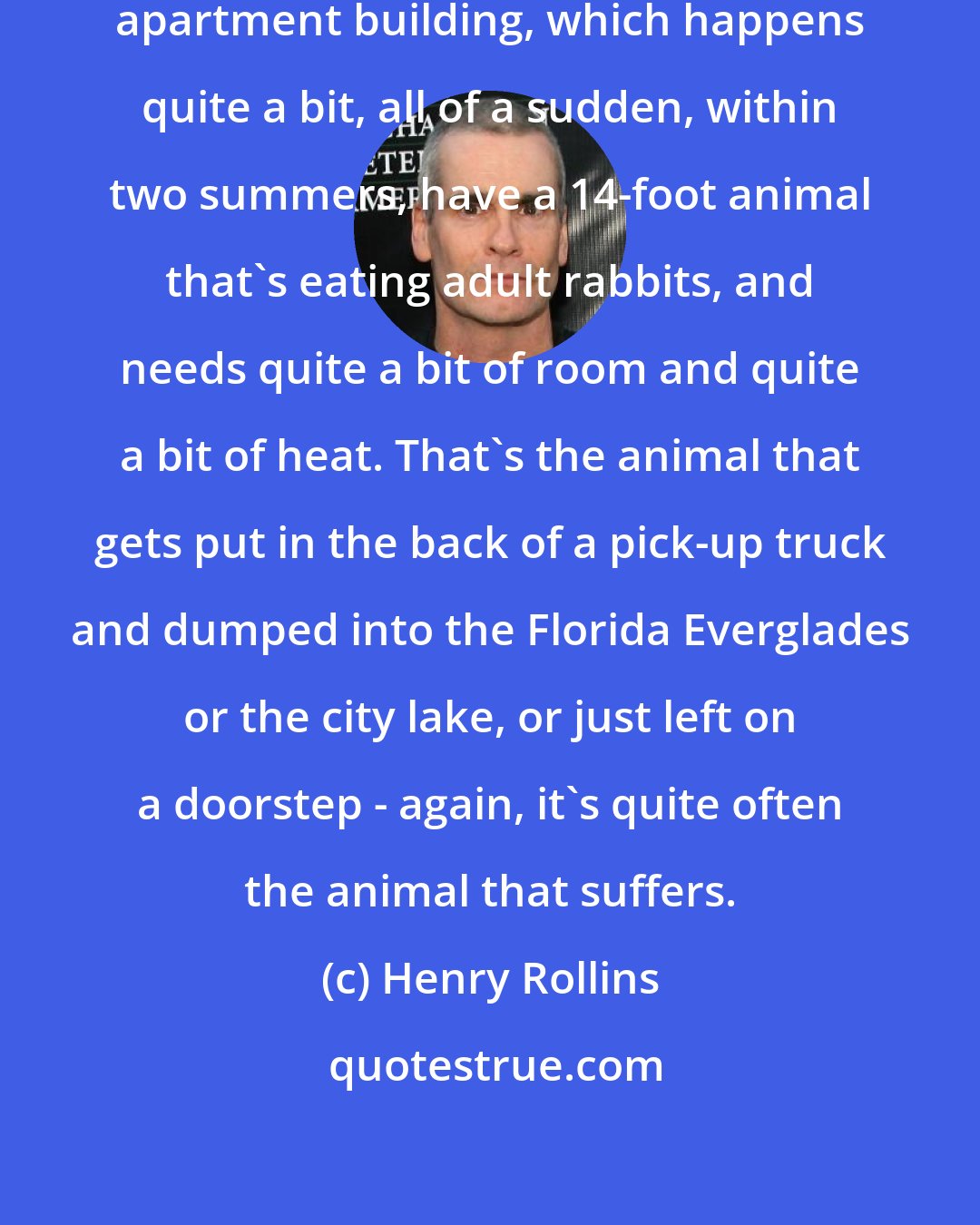 Henry Rollins: People who keep a large snake in their apartment building, which happens quite a bit, all of a sudden, within two summers, have a 14-foot animal that's eating adult rabbits, and needs quite a bit of room and quite a bit of heat. That's the animal that gets put in the back of a pick-up truck and dumped into the Florida Everglades or the city lake, or just left on a doorstep - again, it's quite often the animal that suffers.